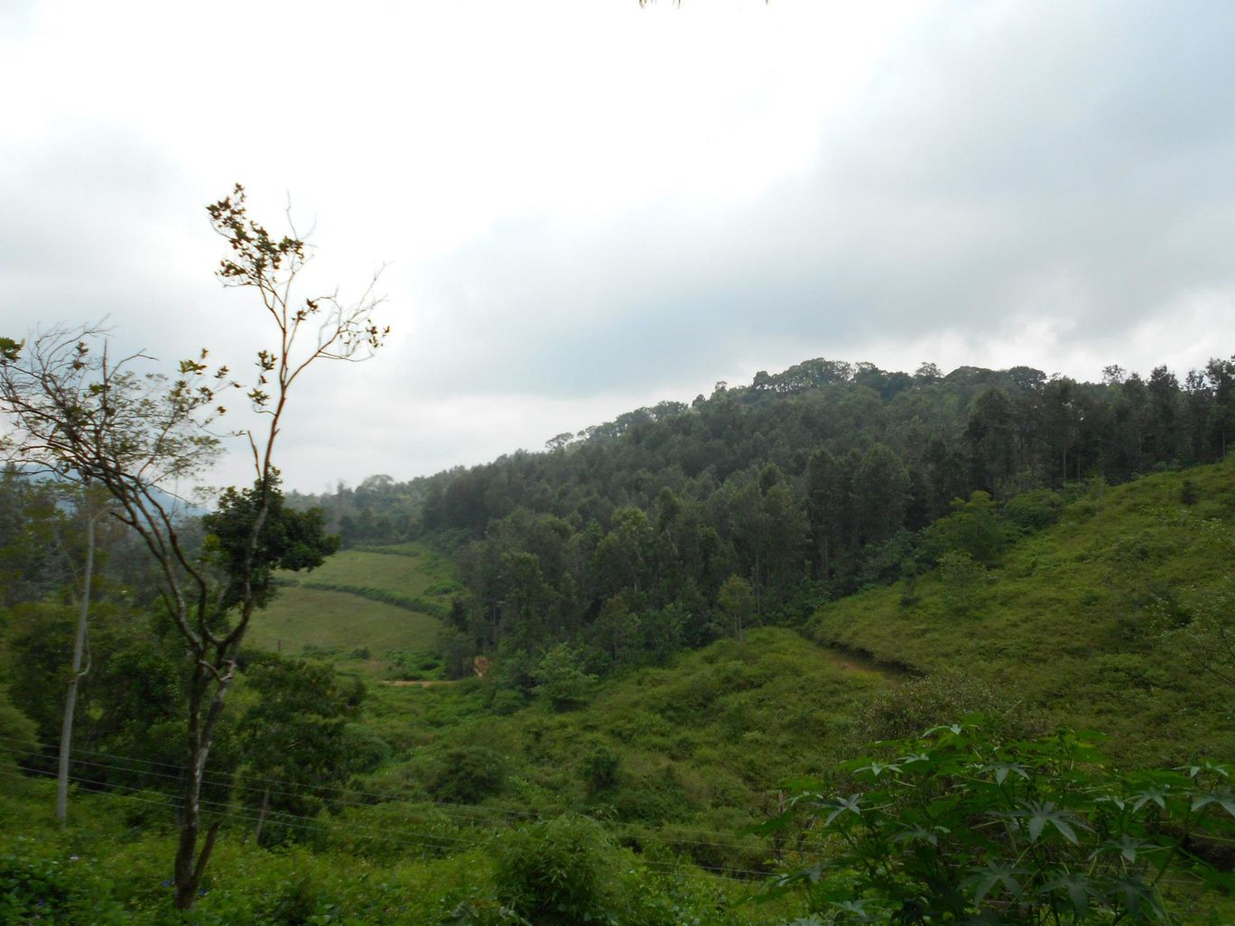 Photo of A bike Trip to Yercaud Hogenakkal By Ratul Sengupta