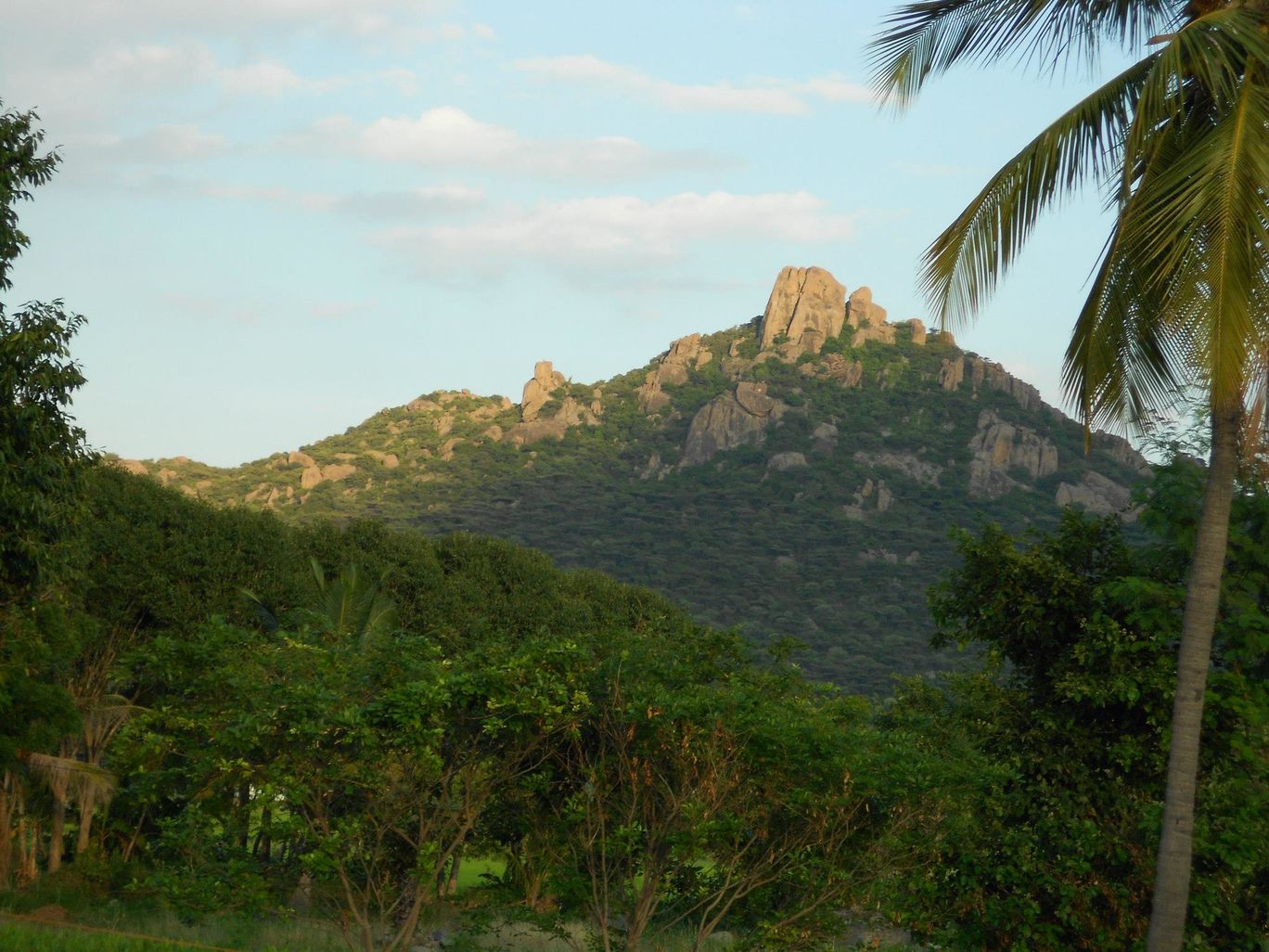 Photo of A bike Trip to Yercaud Hogenakkal By Ratul Sengupta