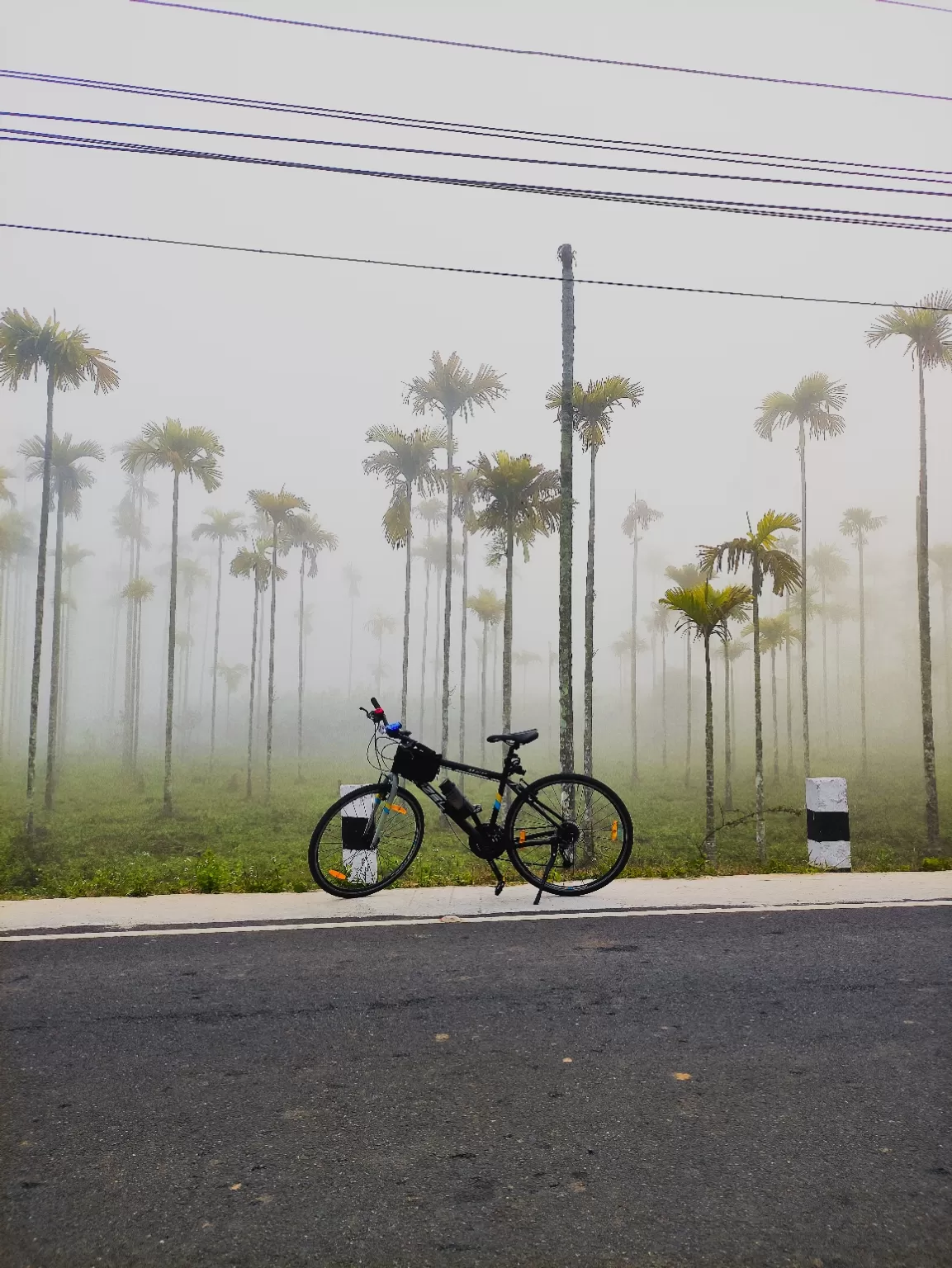 Photo of Wayanad By Abhijith dinesan 