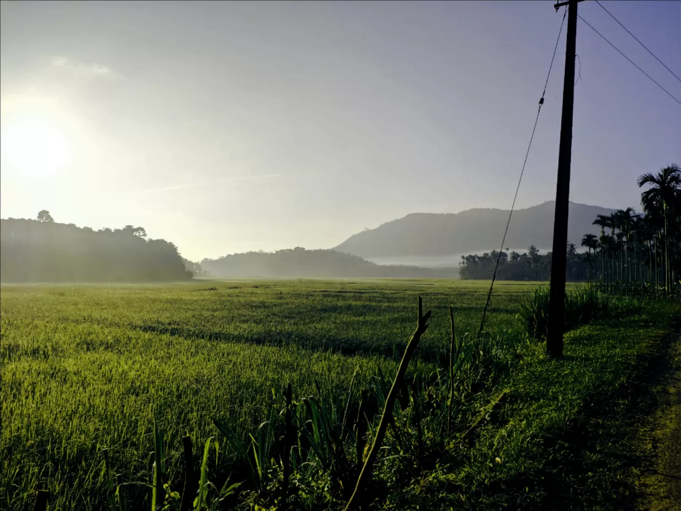 Photo of Wayanad By Abhijith dinesan 