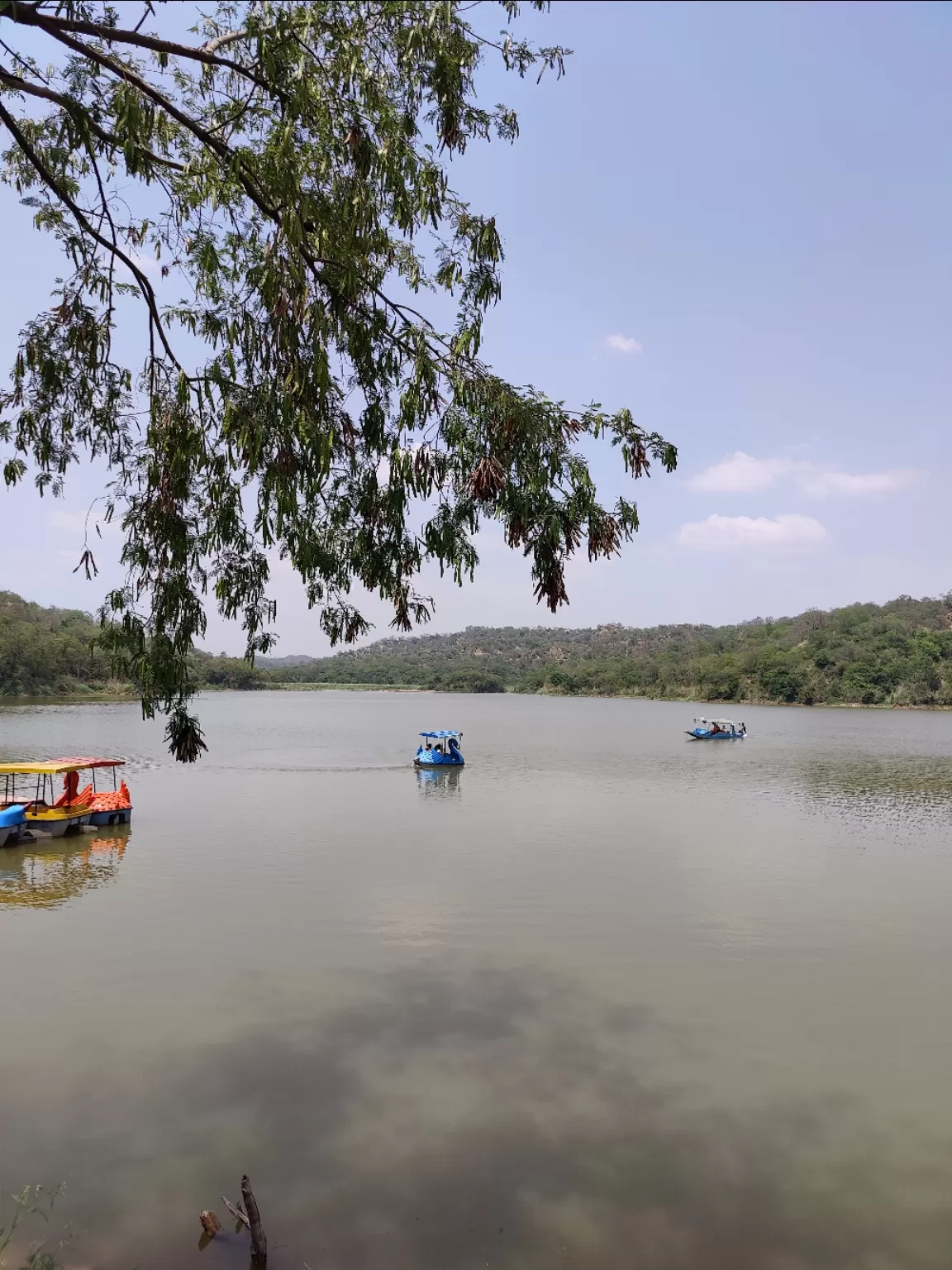 Photo of Siswan Dam By Aparna Mahajan