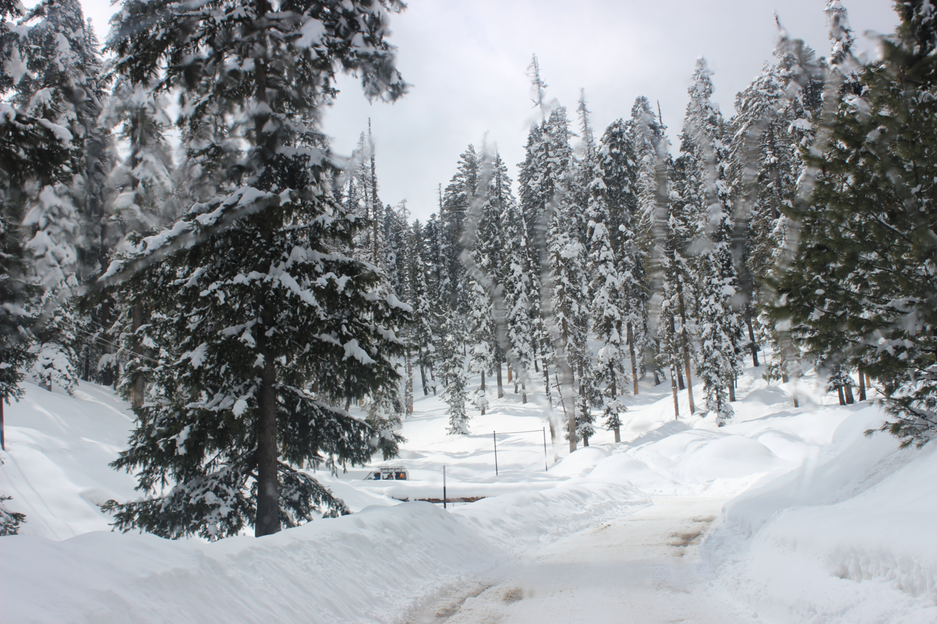 Photo of Vale of Kashmir By Jabin Siddiqui