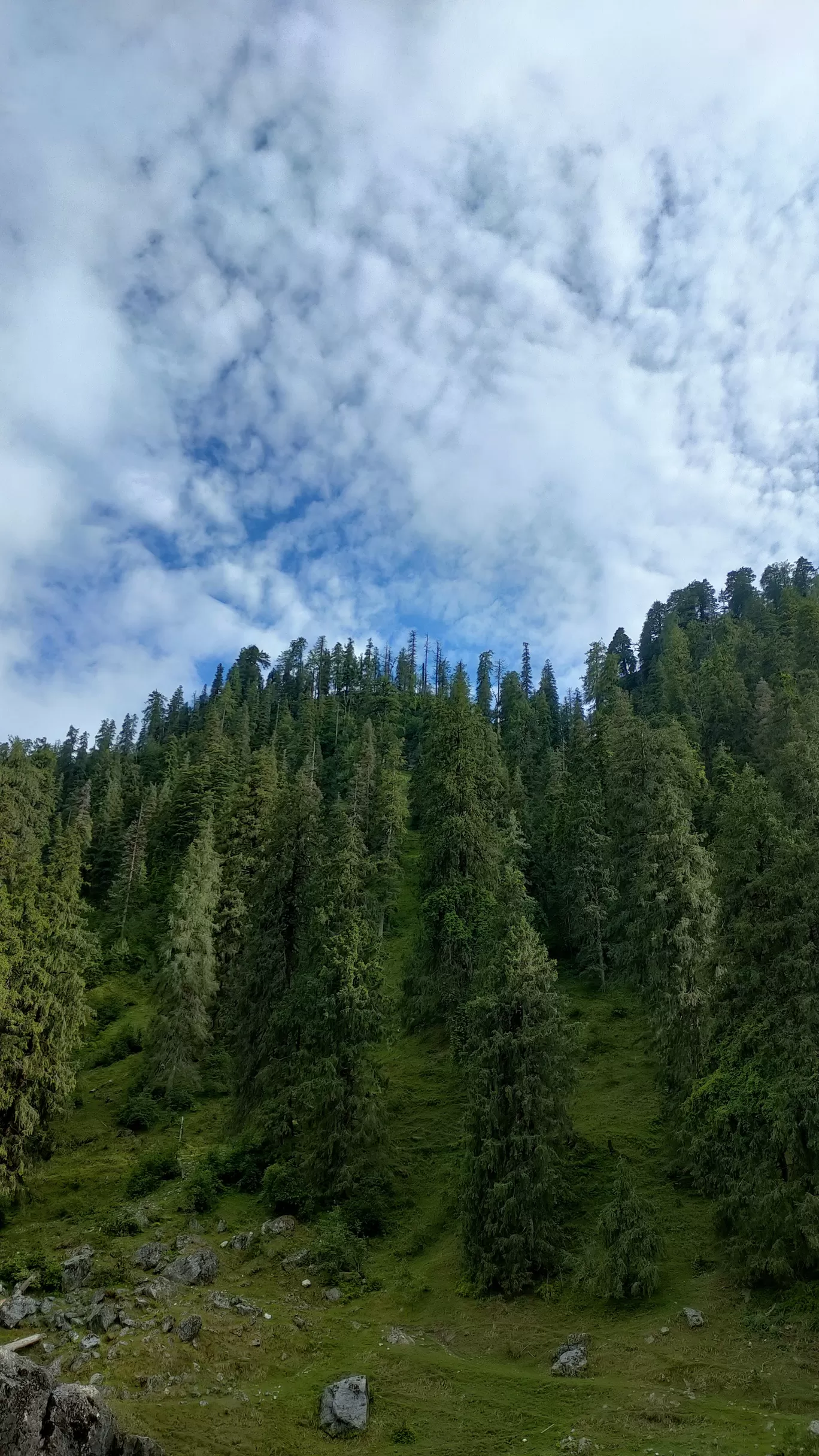 Photo of Chakrata By Shubham Joshi