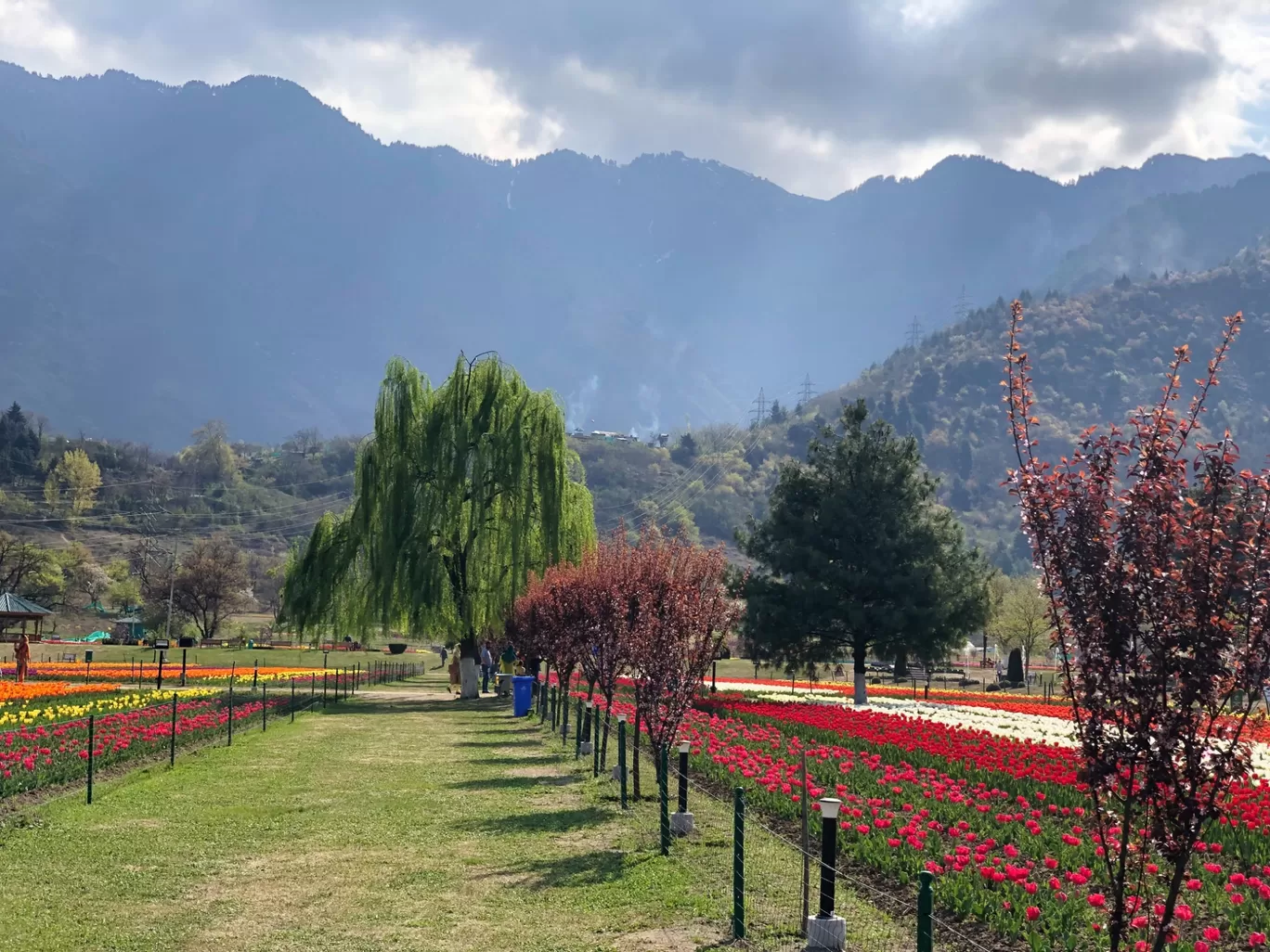 Photo of Srinagar By Satyam Shrivastav