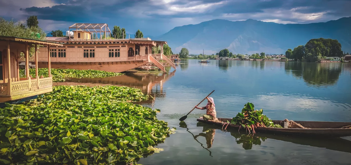 Photo of Srinagar By Satyam Shrivastav