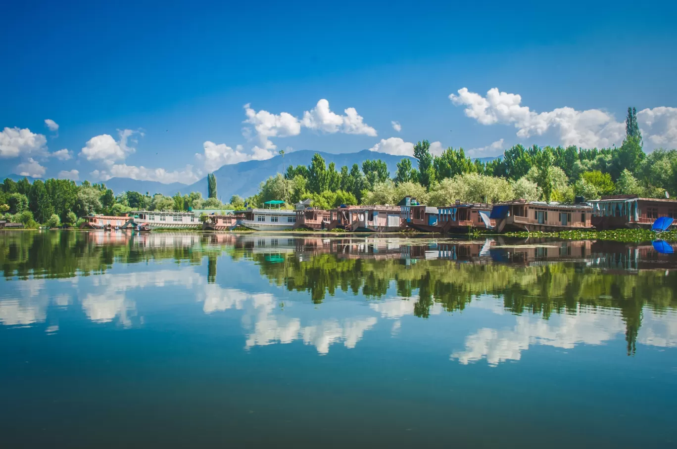 Photo of Srinagar By Satyam Shrivastav