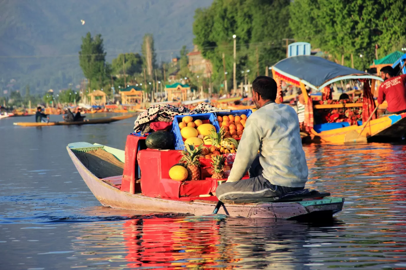 Photo of Srinagar By Satyam Shrivastav