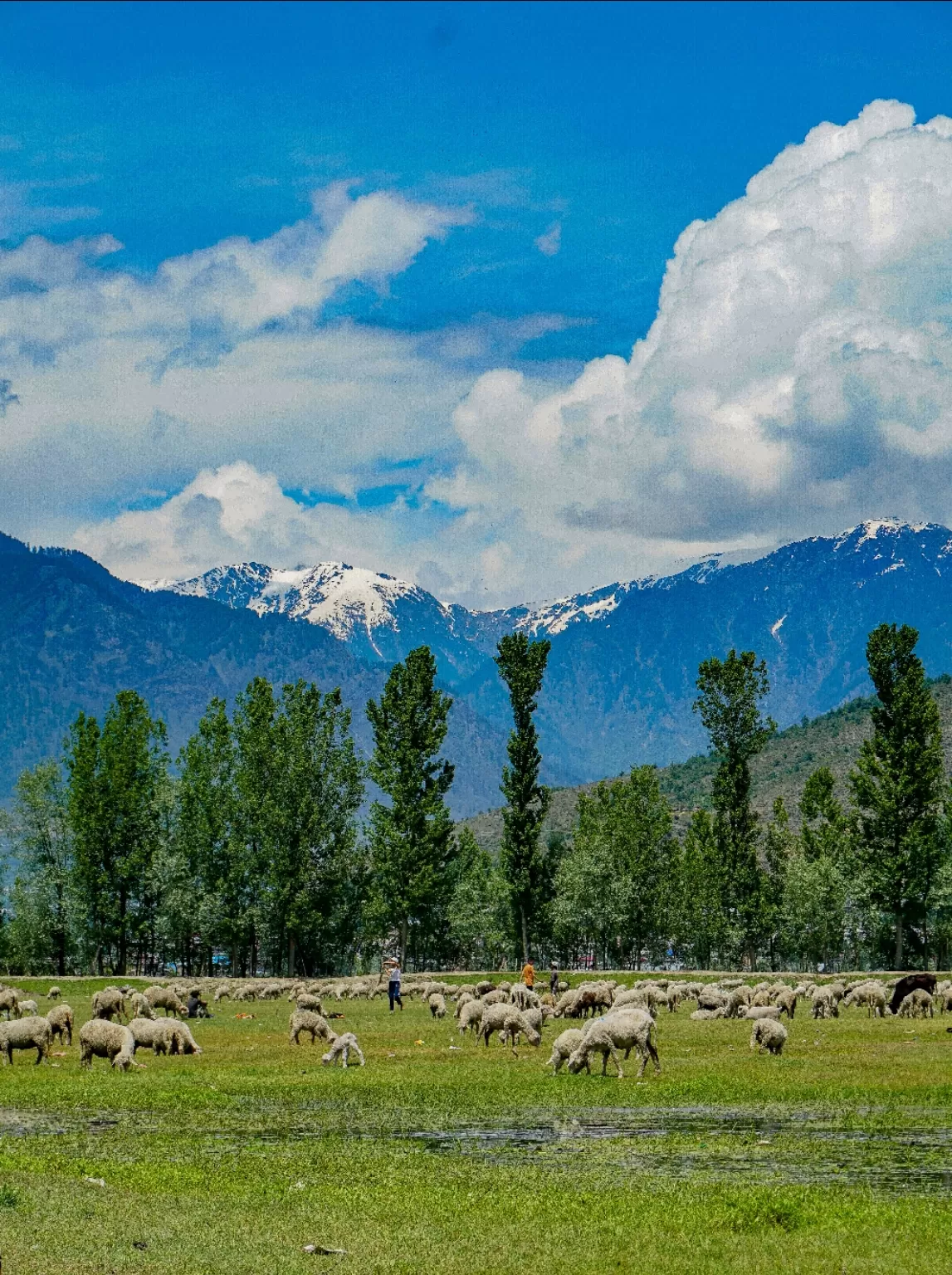 Photo of Srinagar By Satyam Shrivastav