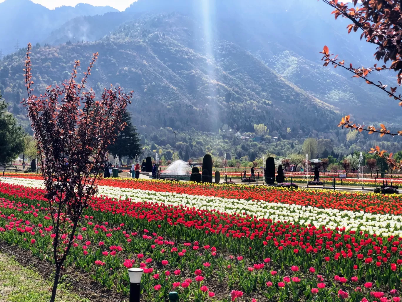 Photo of Srinagar By Satyam Shrivastav