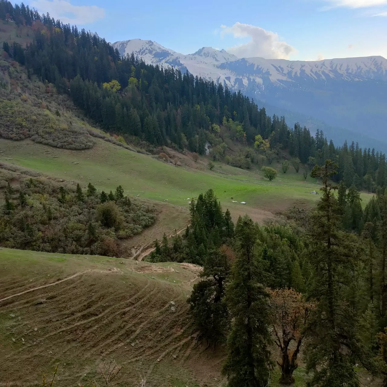 Photo of Kheerganga Trek By Ajay Chauhan