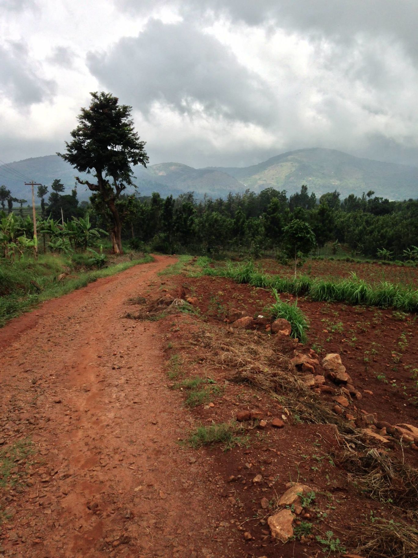 Photo of Ride to Kolli Hills with BMC By Jugal Mehta