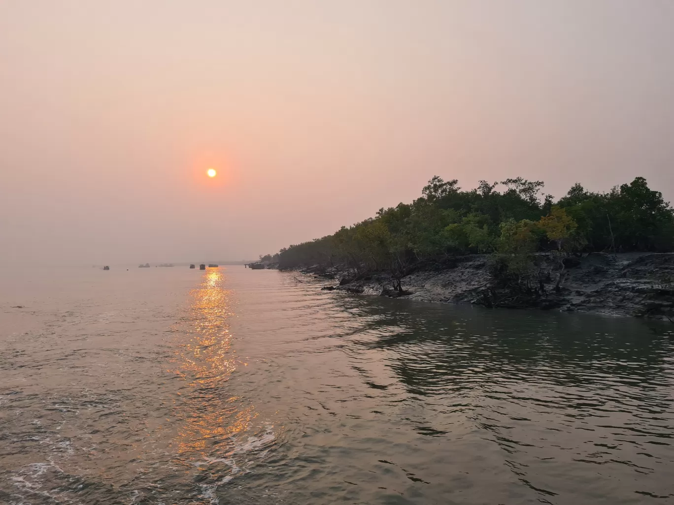 Photo of Sundarban By Sayan & Payel Vlogs