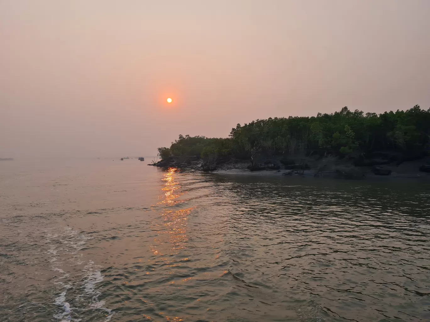 Photo of Sundarban By Sayan & Payel Vlogs