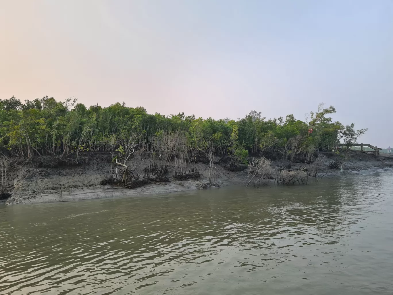 Photo of Sundarban By Sayan & Payel Vlogs