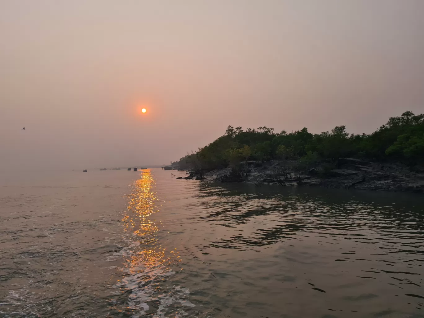 Photo of Sundarban By Sayan & Payel Vlogs