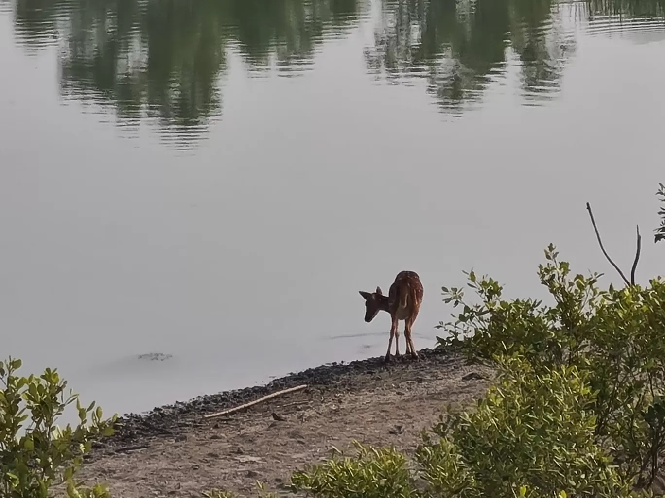 Photo of Sundarban By Sayan & Payel Vlogs