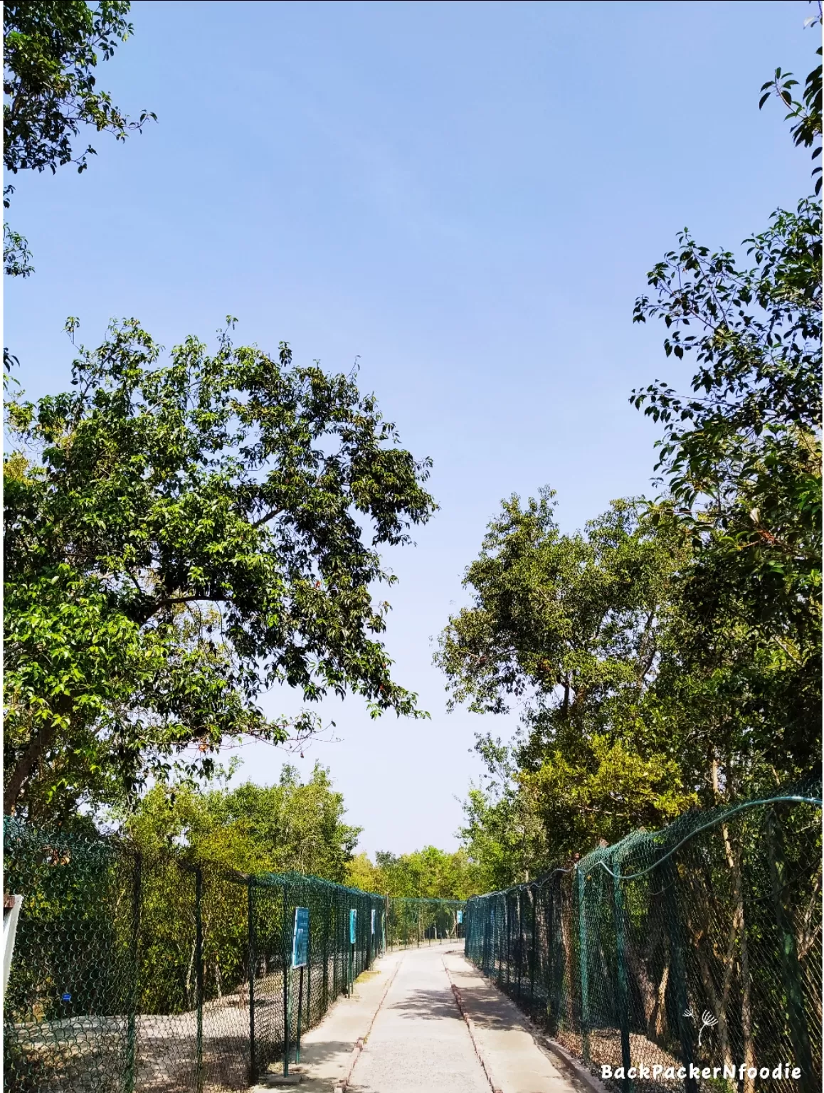 Photo of Sundarbans By Baishali Chakraborty