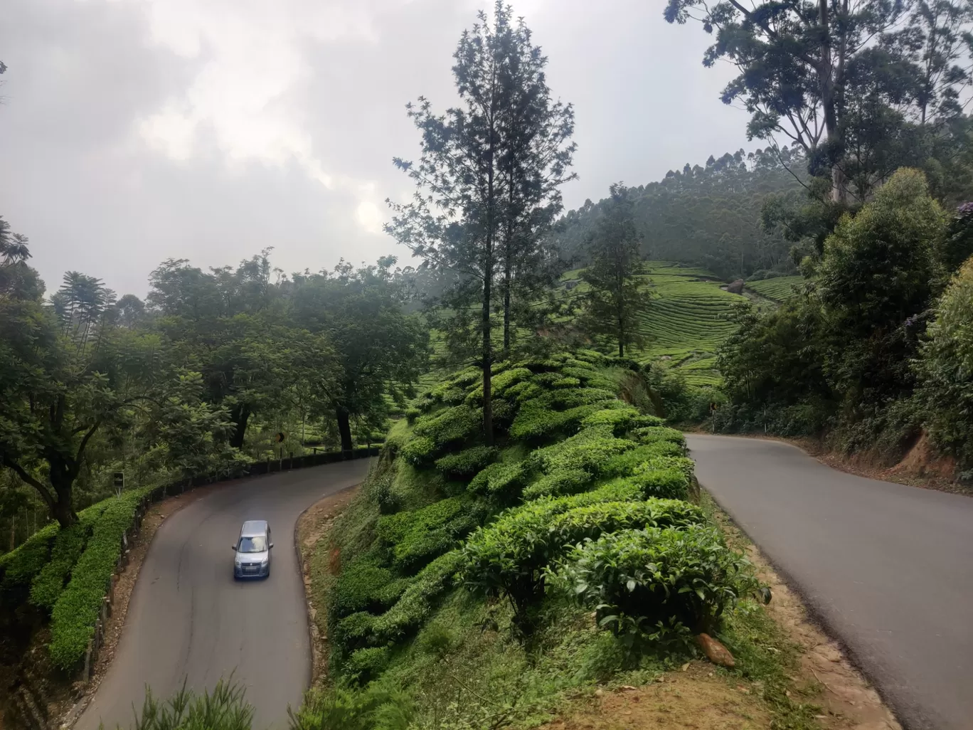 Photo of Munnar By Vineet Kumar