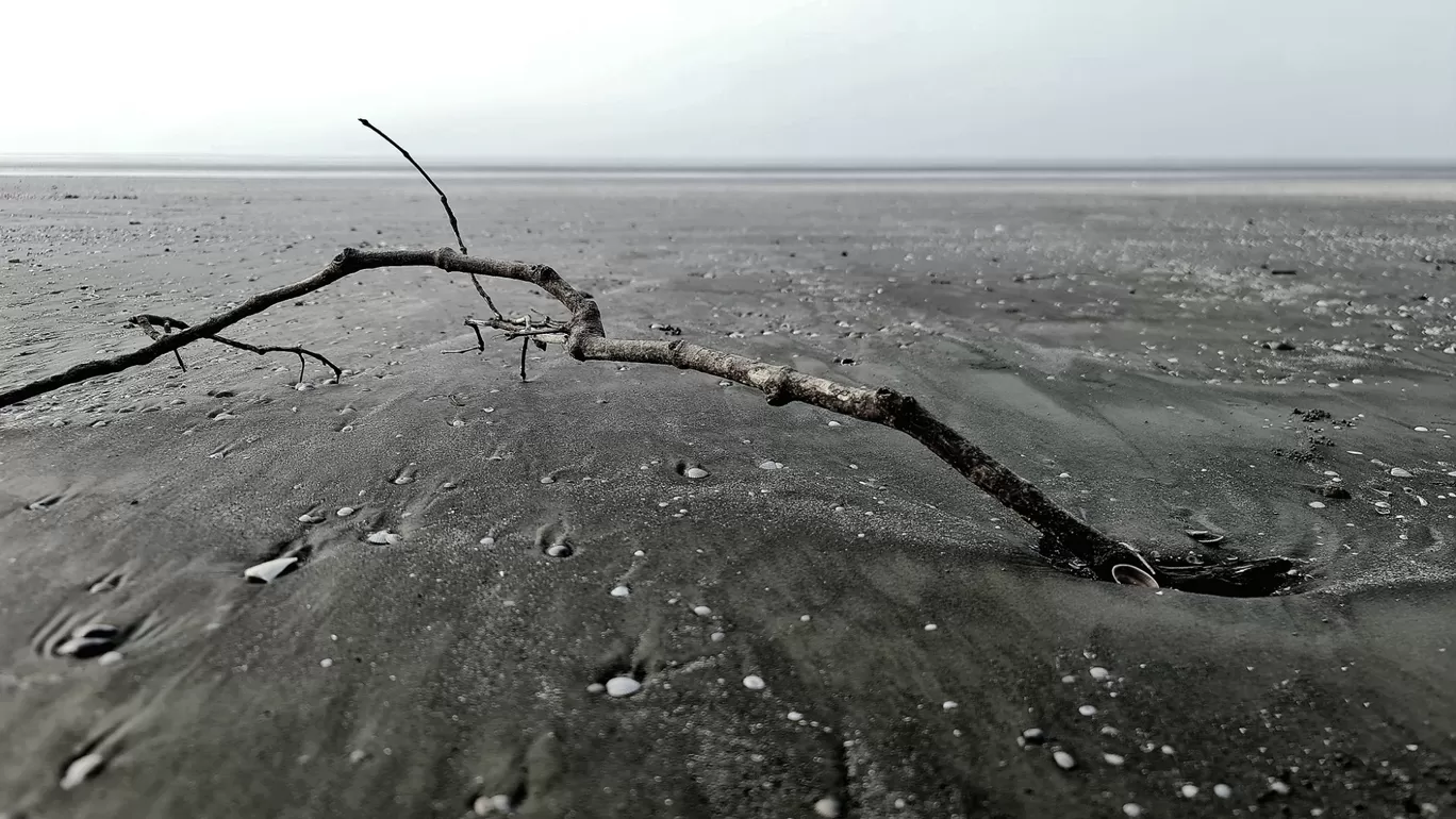 Photo of Chandipur Sea Beach By Rakesh Kanodia