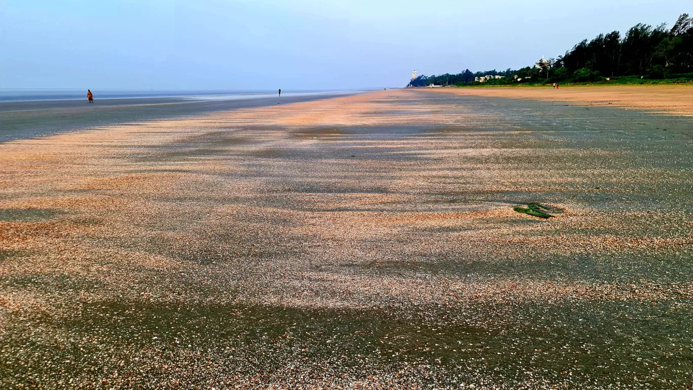 Photo of Chandipur Sea Beach By Rakesh Kanodia