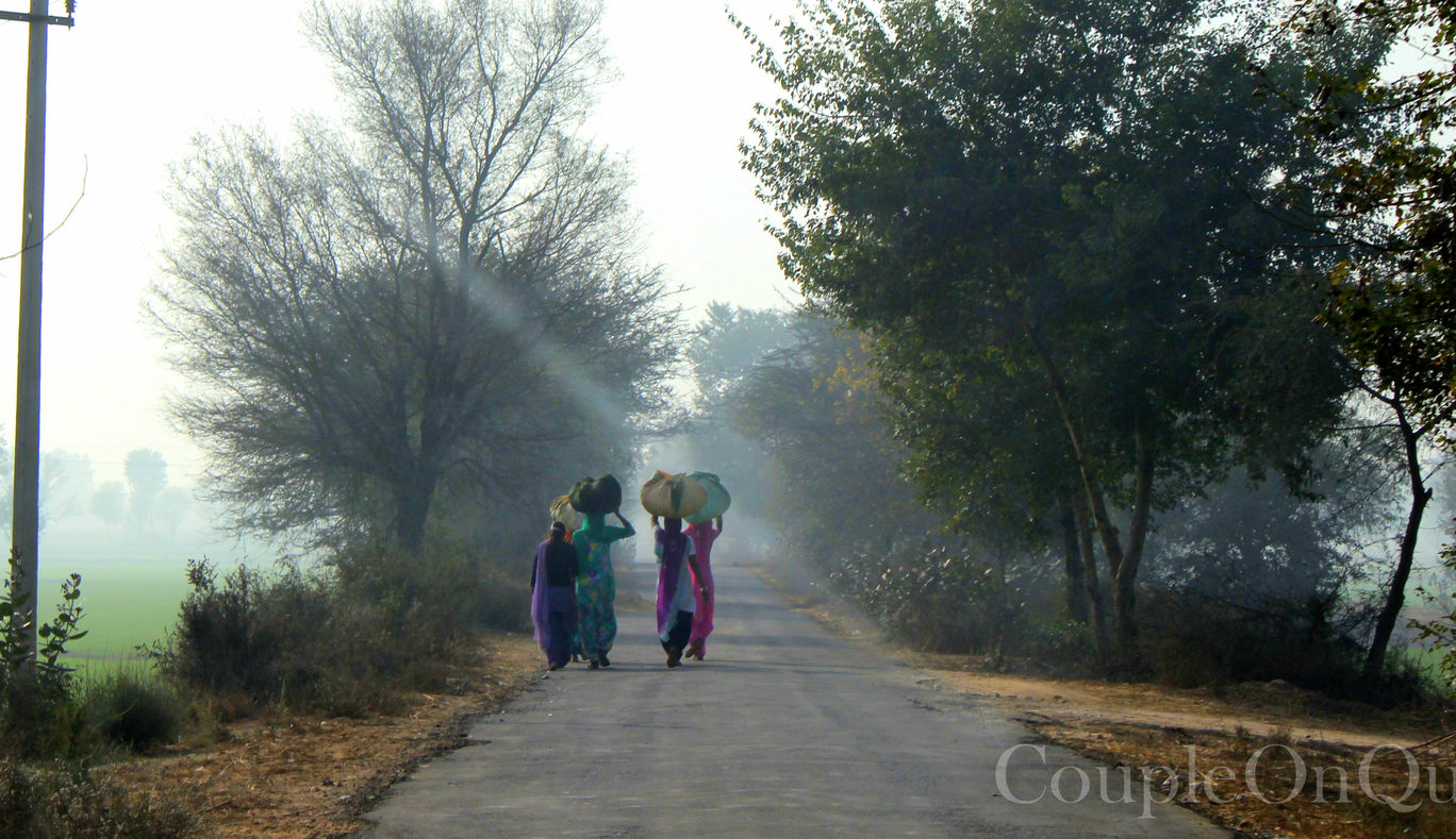 Photo of Scenic Route: Chandigarh – Bikaner – Delhi By Kavita