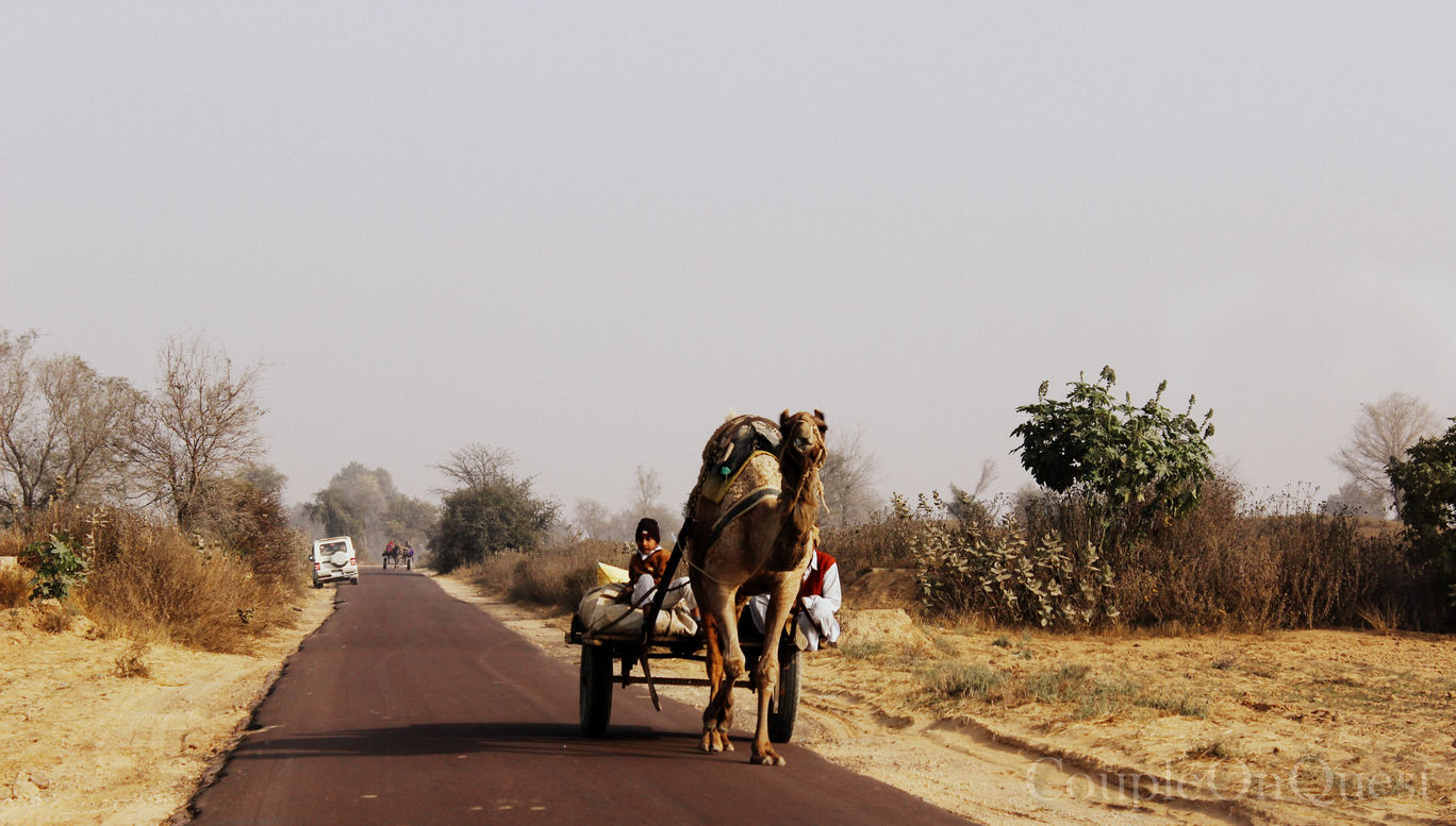 Photo of Scenic Route: Chandigarh – Bikaner – Delhi By Kavita
