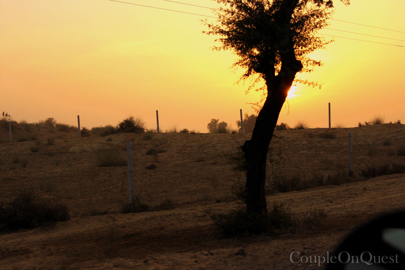 Photo of Scenic Route: Chandigarh – Bikaner – Delhi By Kavita
