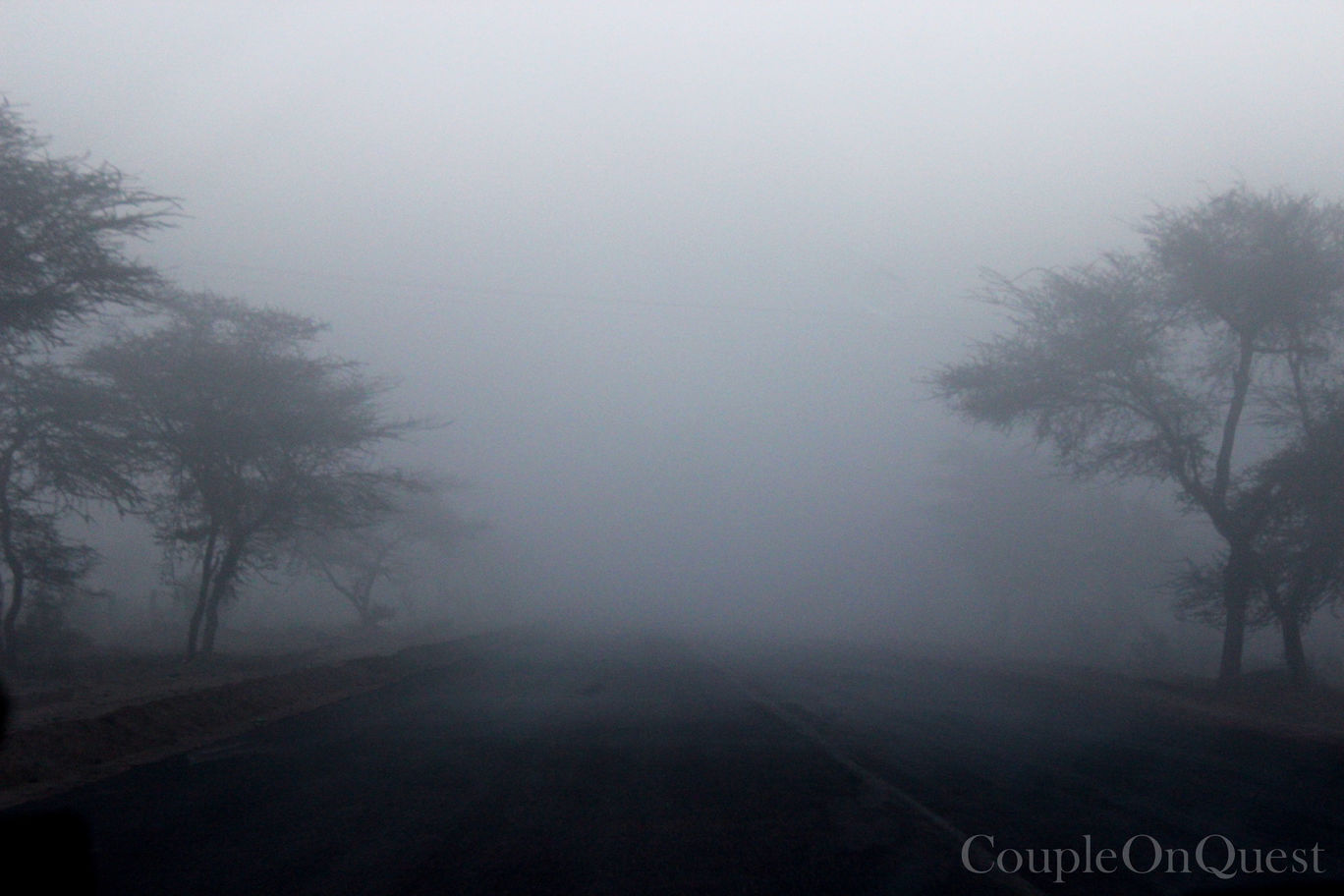 Photo of Scenic Route: Chandigarh – Bikaner – Delhi By Kavita
