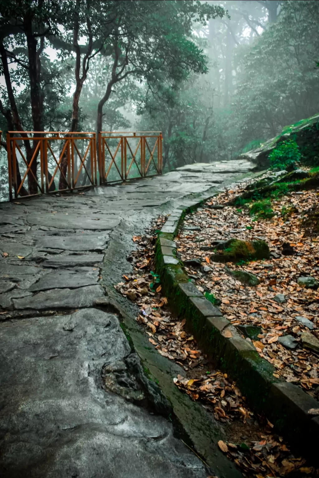 Photo of Chopta By Shobhit Singh