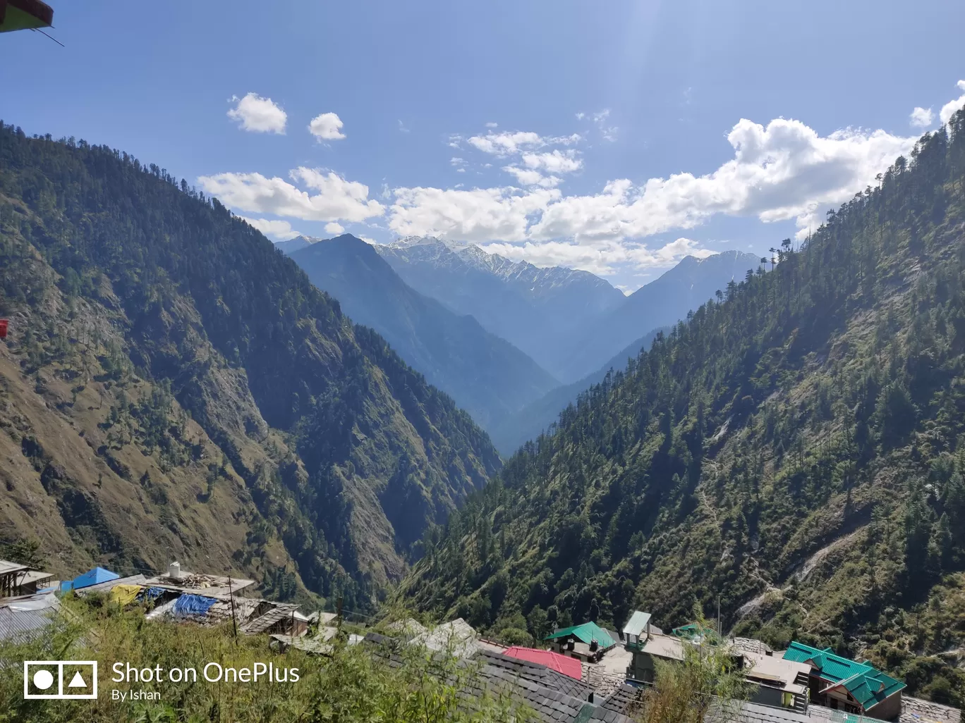 Photo of Rasol By ishan singh
