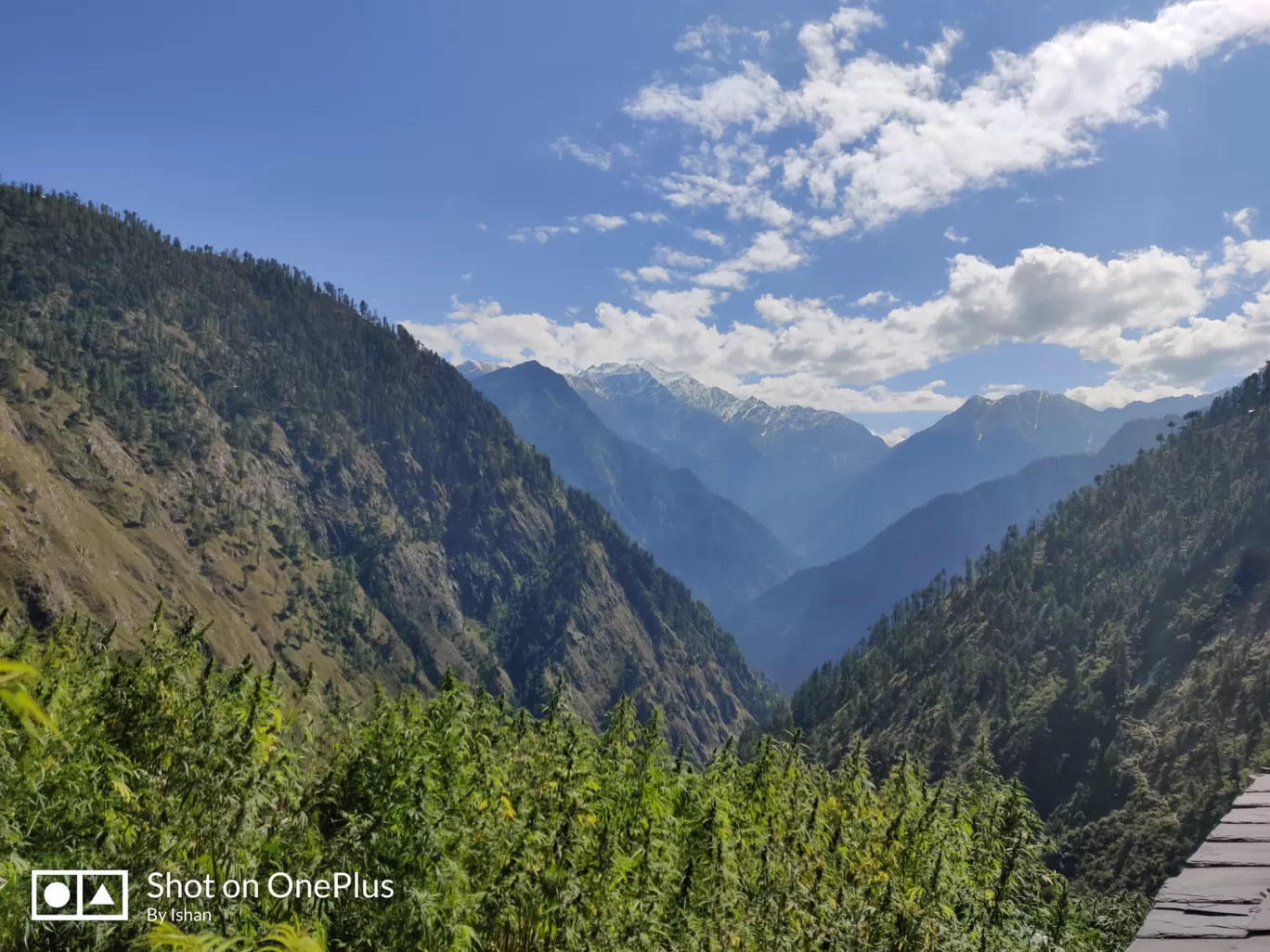 Photo of Rasol By ishan singh