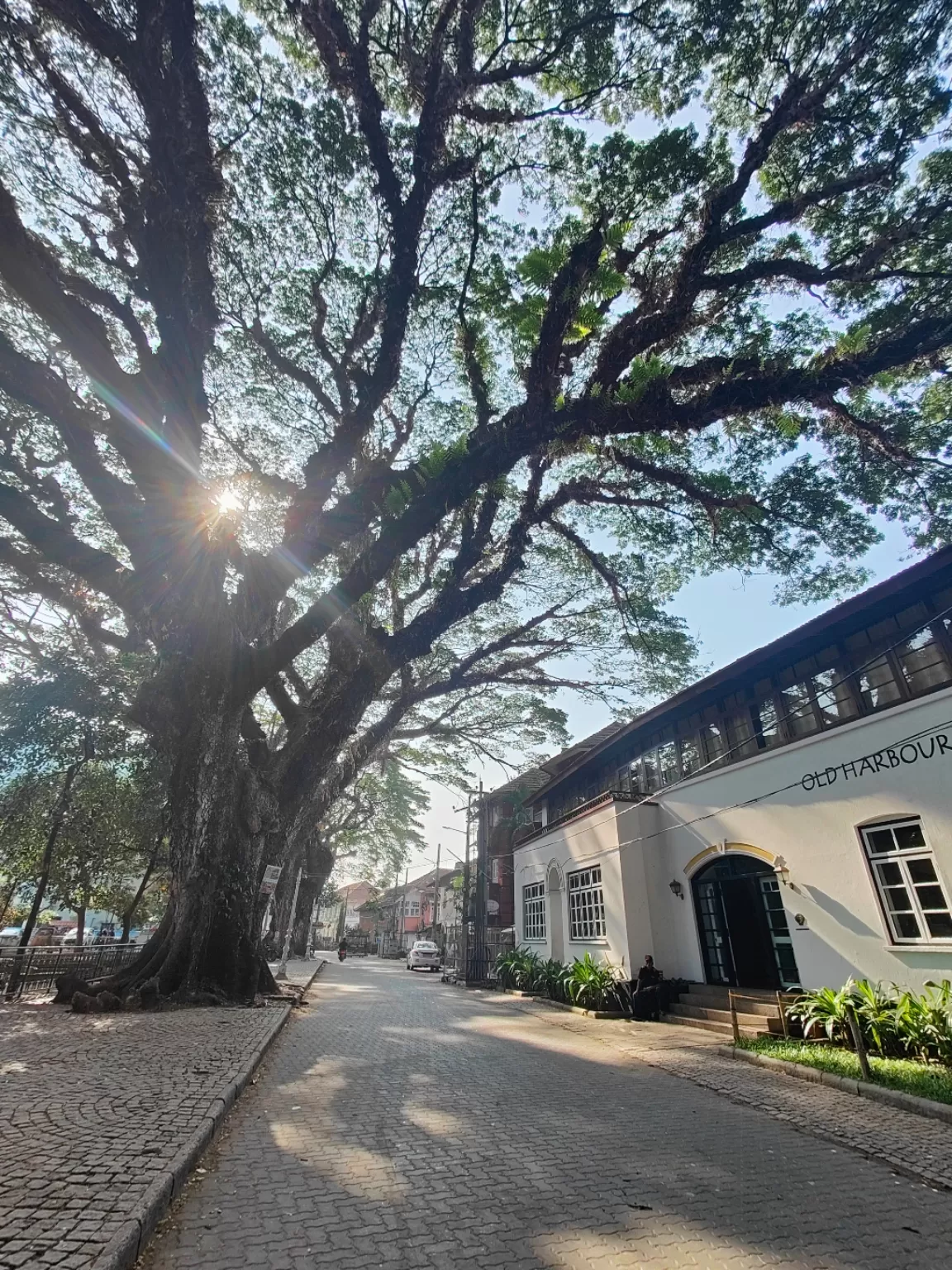 Photo of Kochi By Travel rooh
