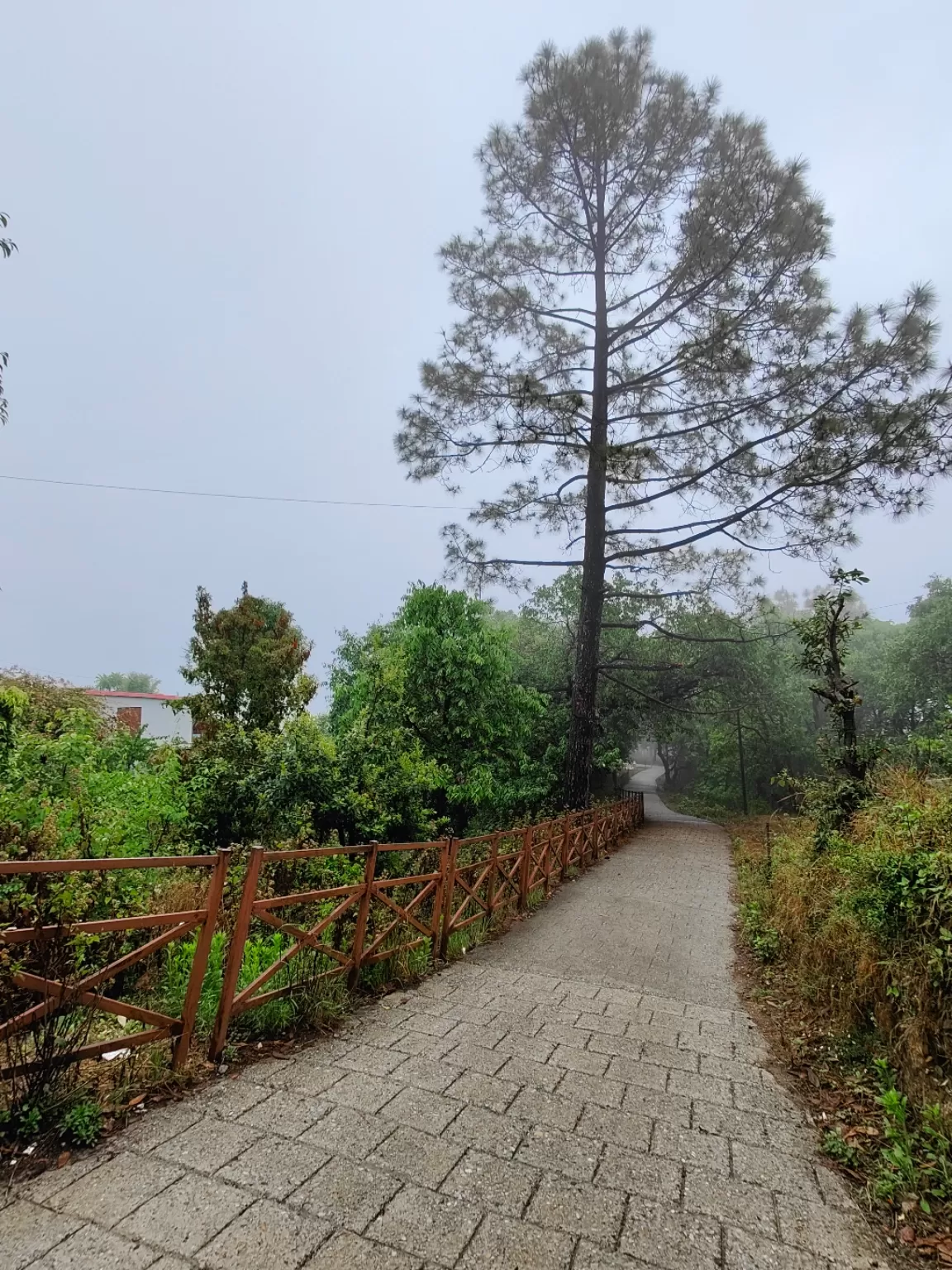 Photo of Kausani By Travel rooh