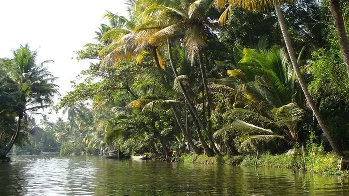 Photo of Kerala By Abhisek Gupta