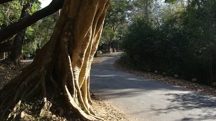 Photo of Kerala By Abhisek Gupta