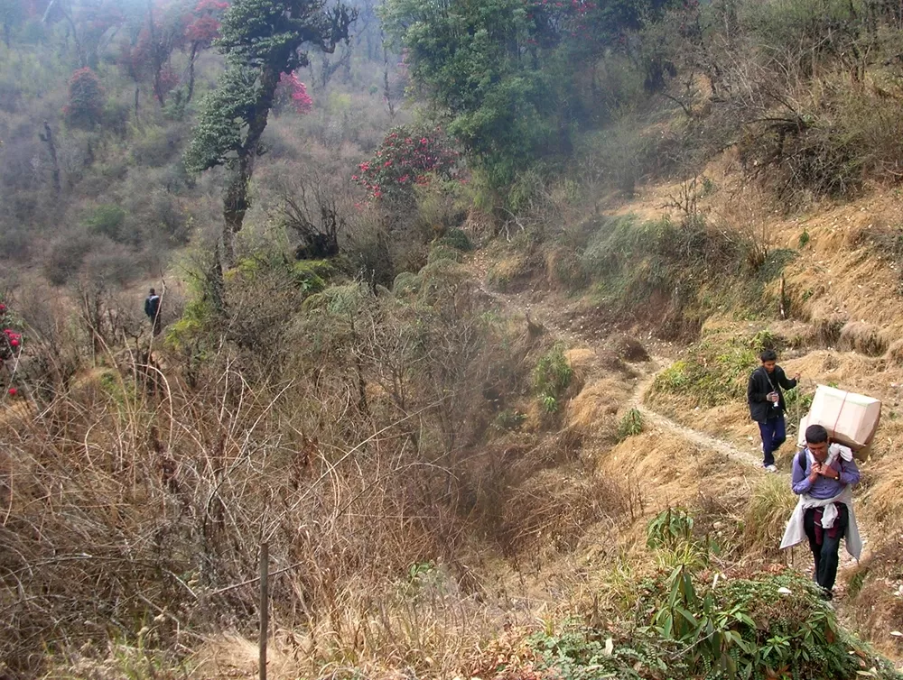 Photo of Barsey Rhododendron Sanctuary By Veesaal Singh