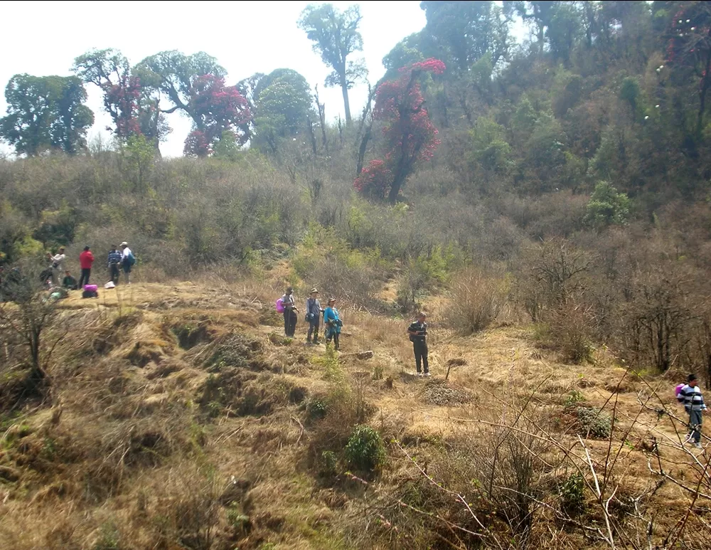 Photo of Barsey Rhododendron Sanctuary By Veesaal Singh