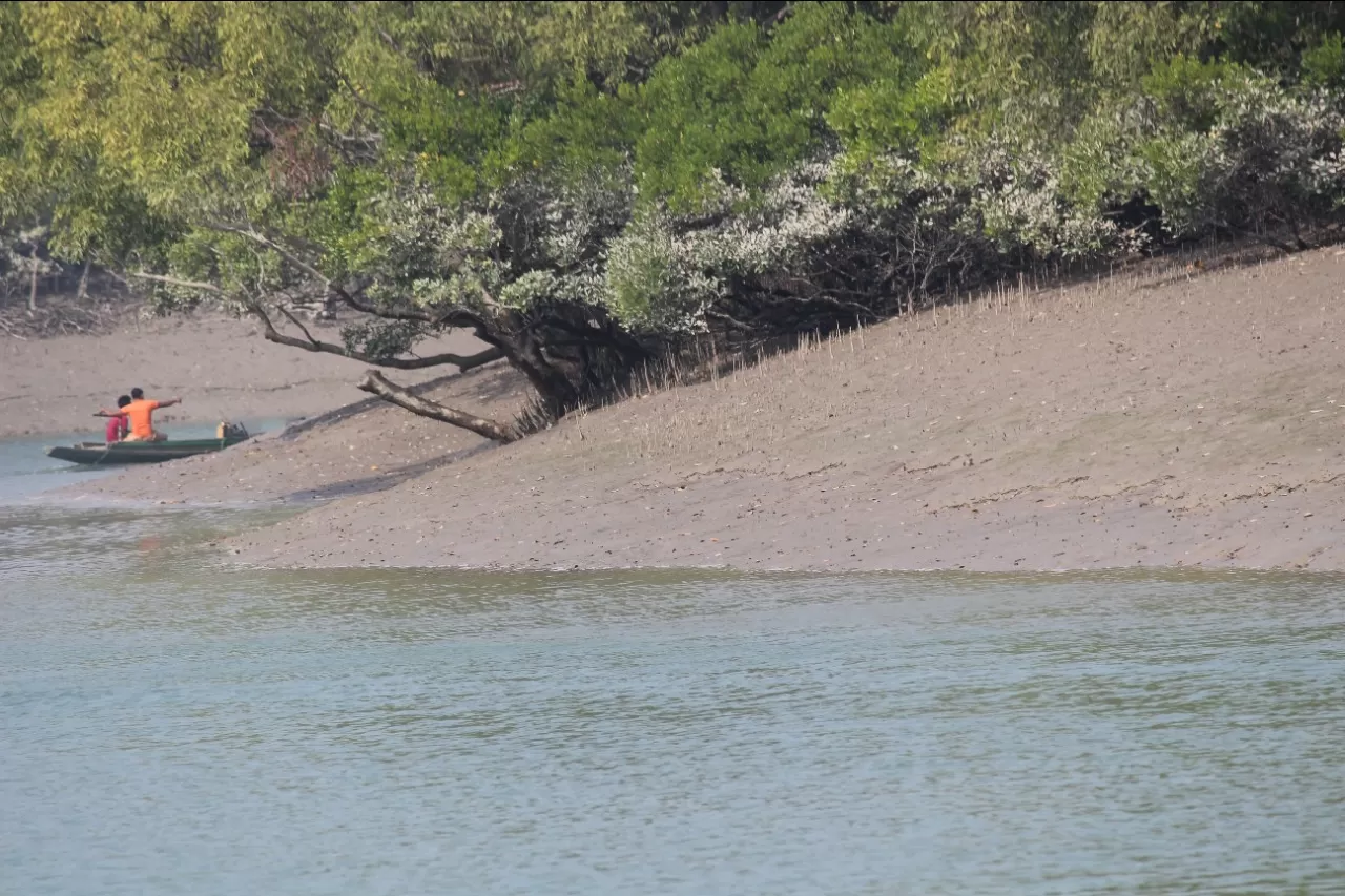 Photo of Sundarban By Sohini Palit