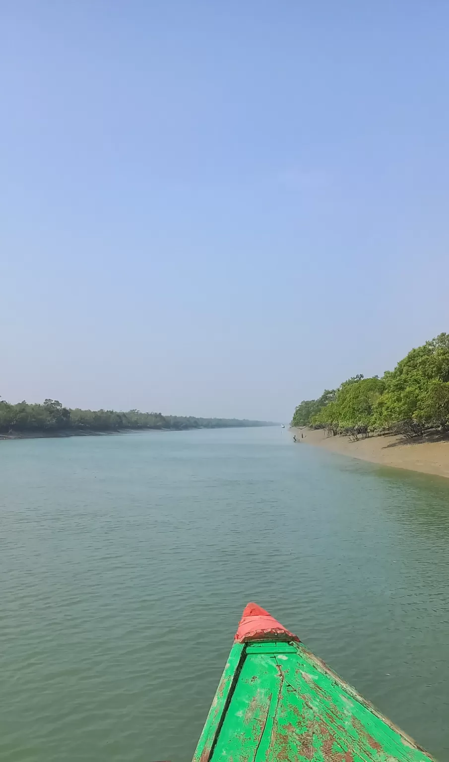 Photo of Sundarban By Sohini Palit