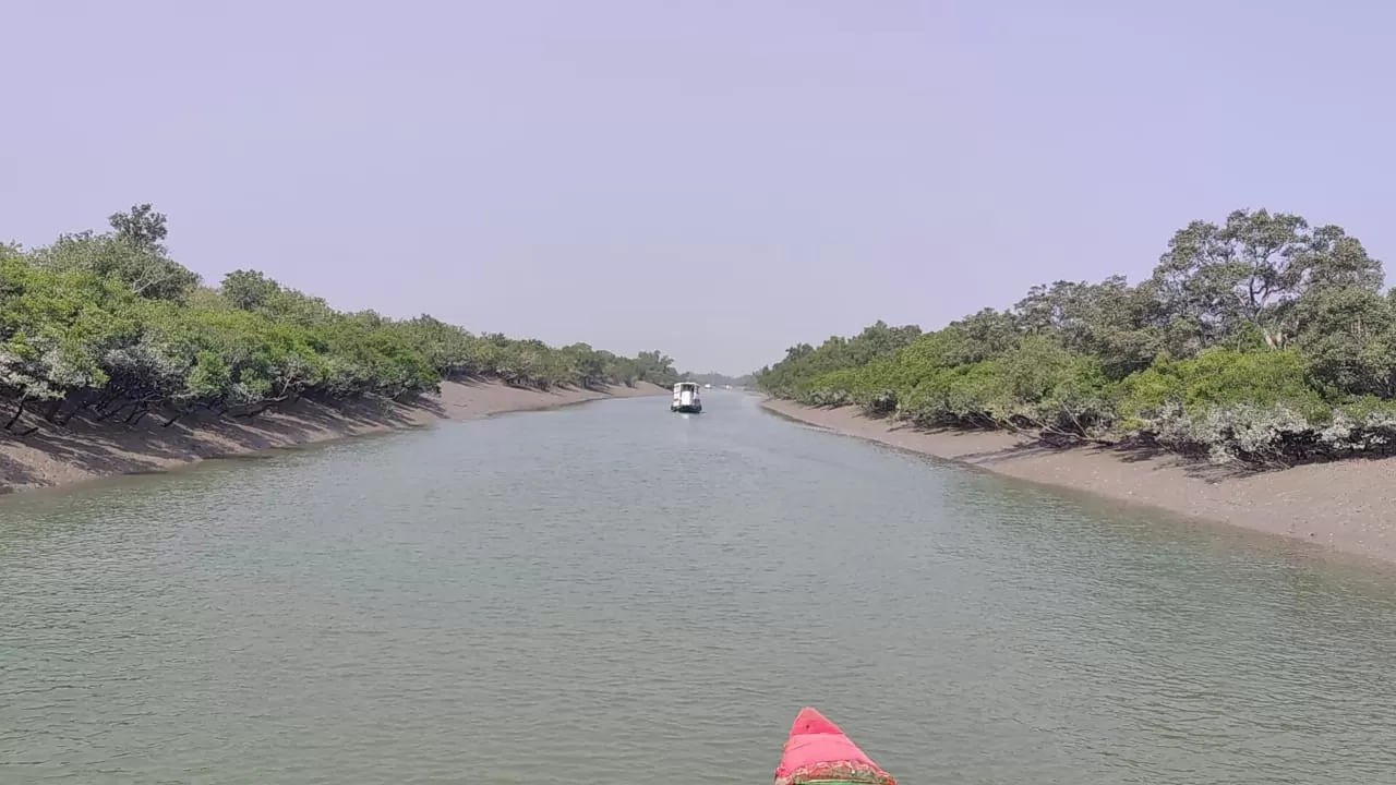 Photo of Sundarban By Sohini Palit