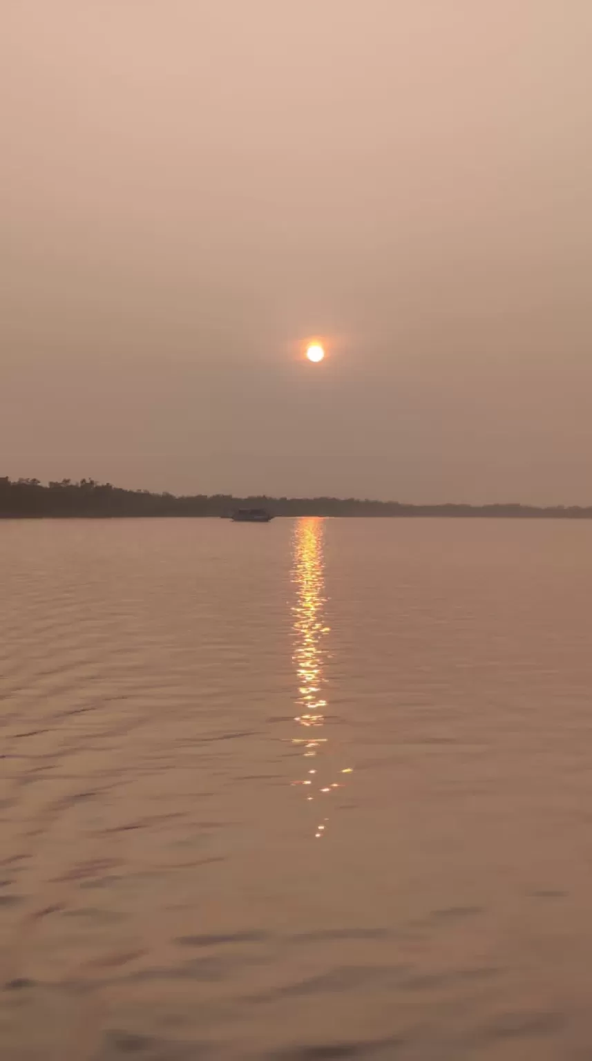 Photo of Sundarban By Sohini Palit