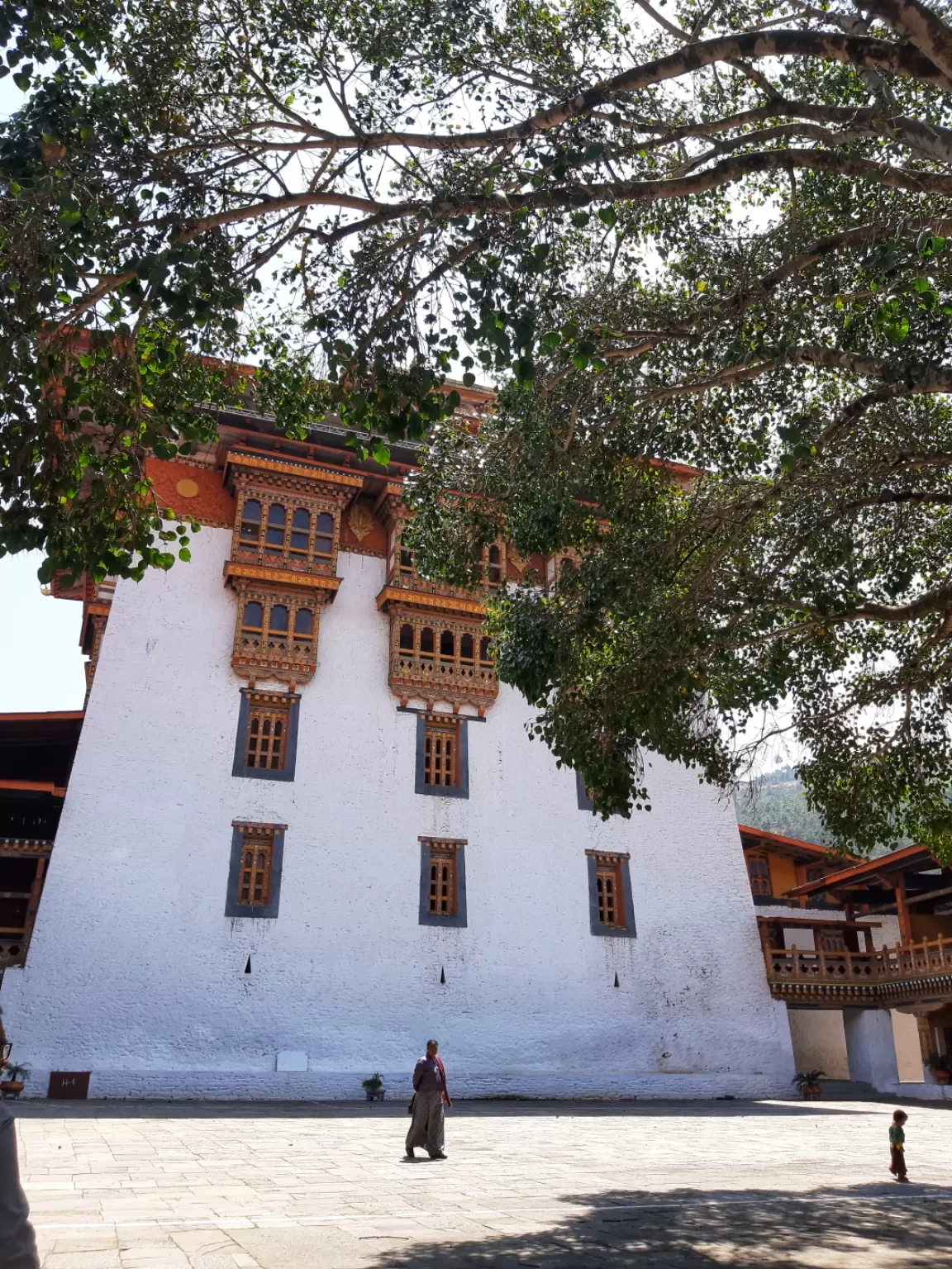 Photo of Punakha By Anky