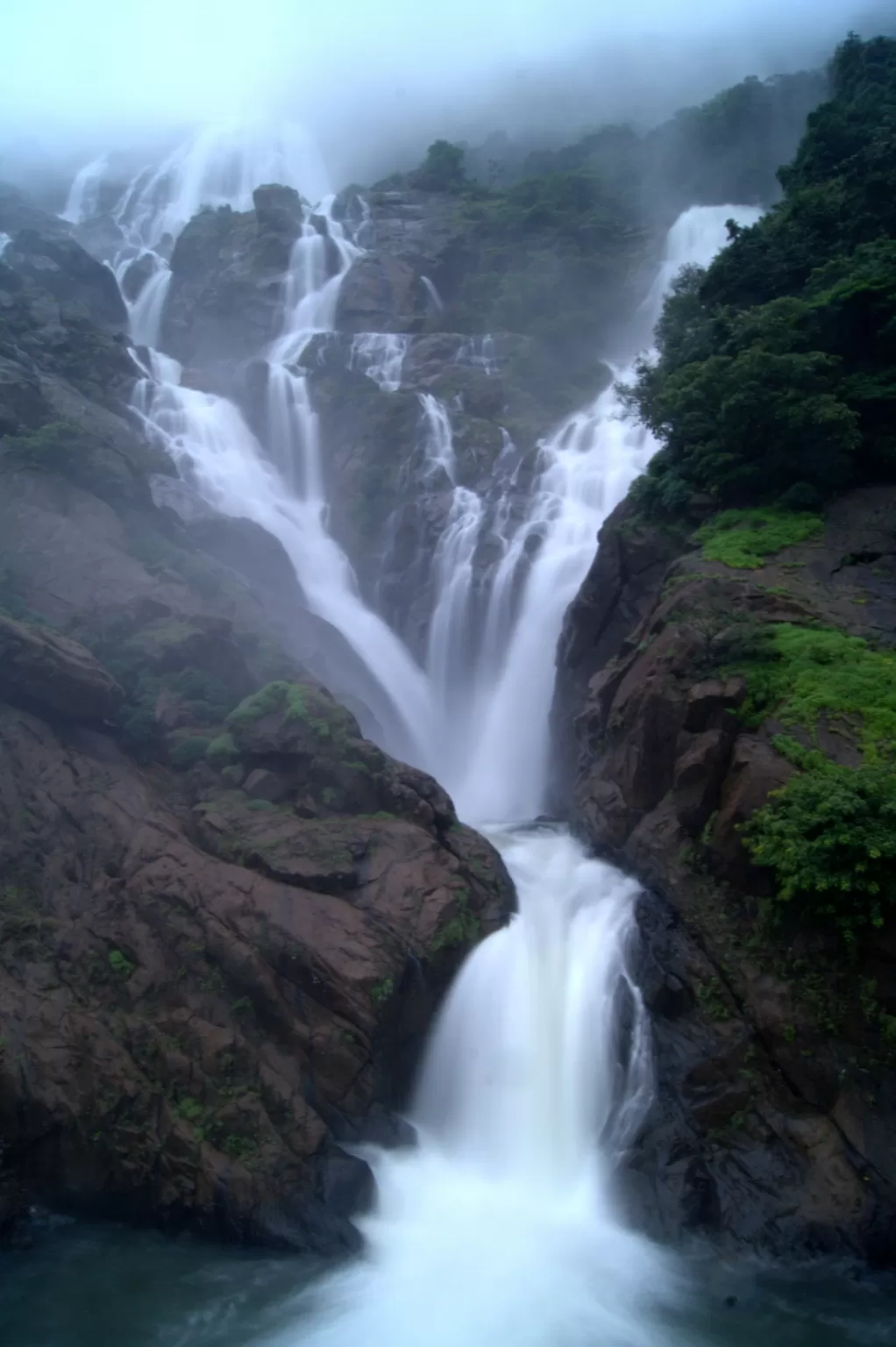 Photo of Dudhsagar Waterfall Trek By pooja