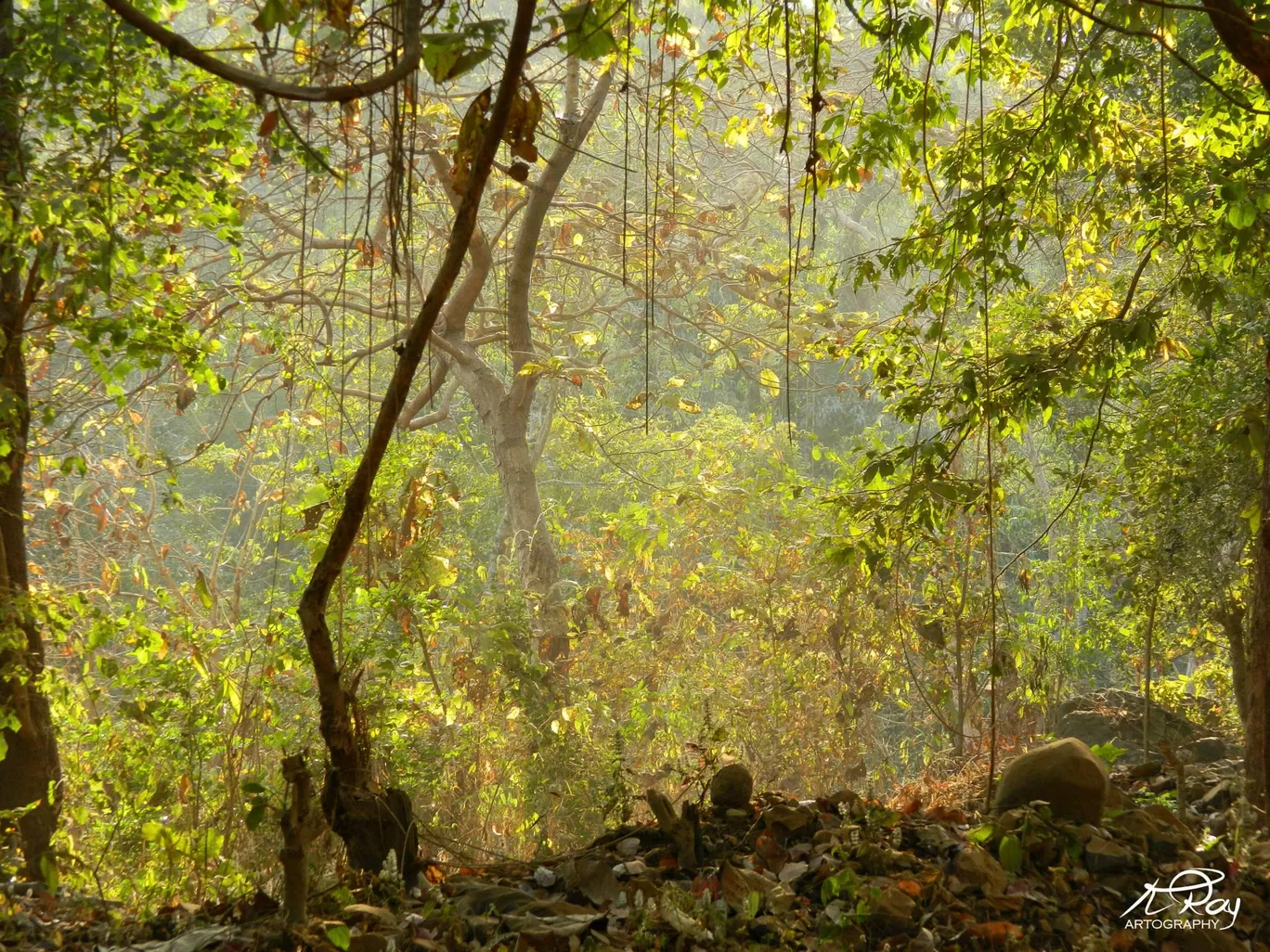 Photo of Tungareshwar Temple By Koustav Ray
