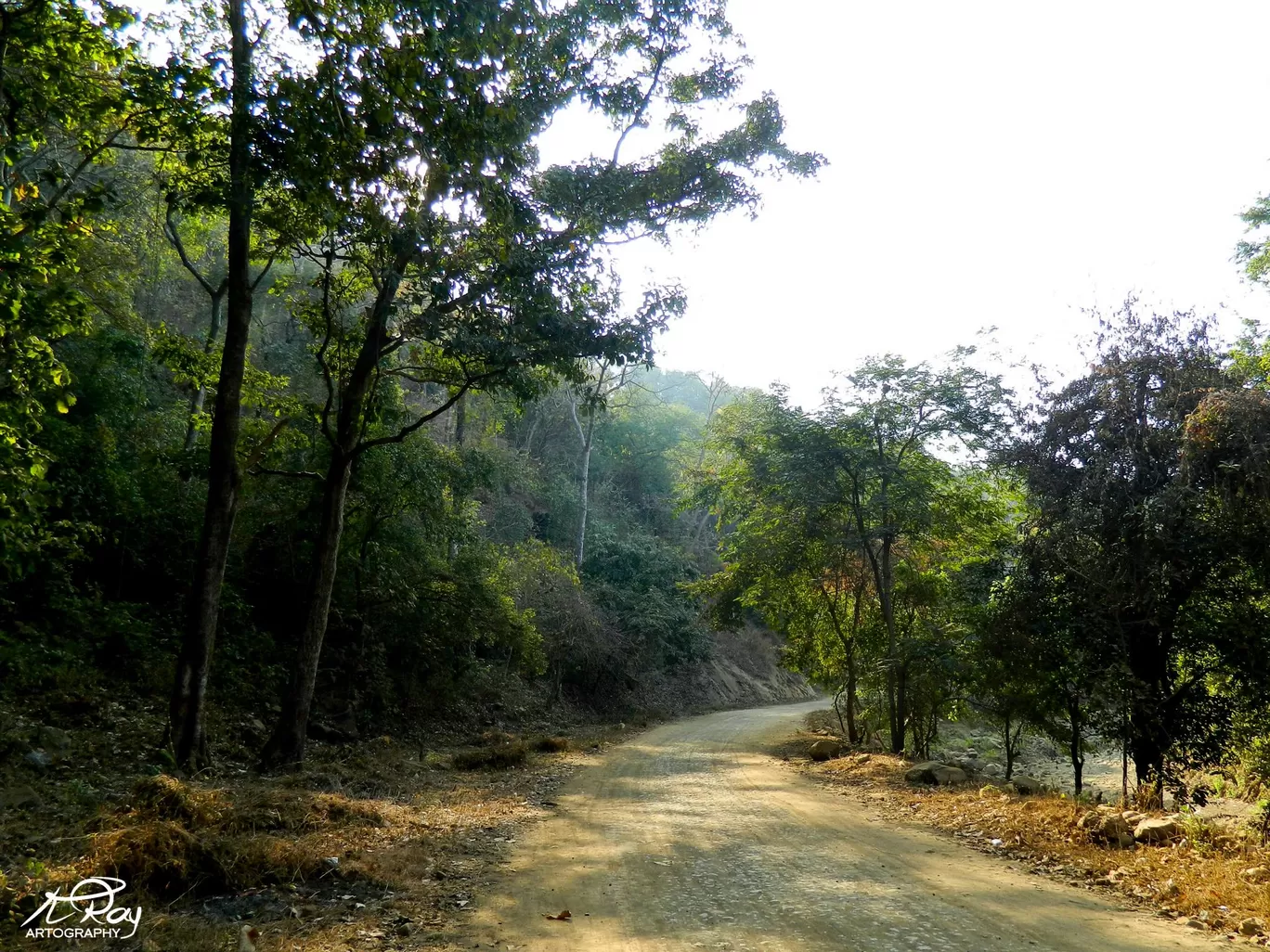 Photo of Tungareshwar Temple By Koustav Ray