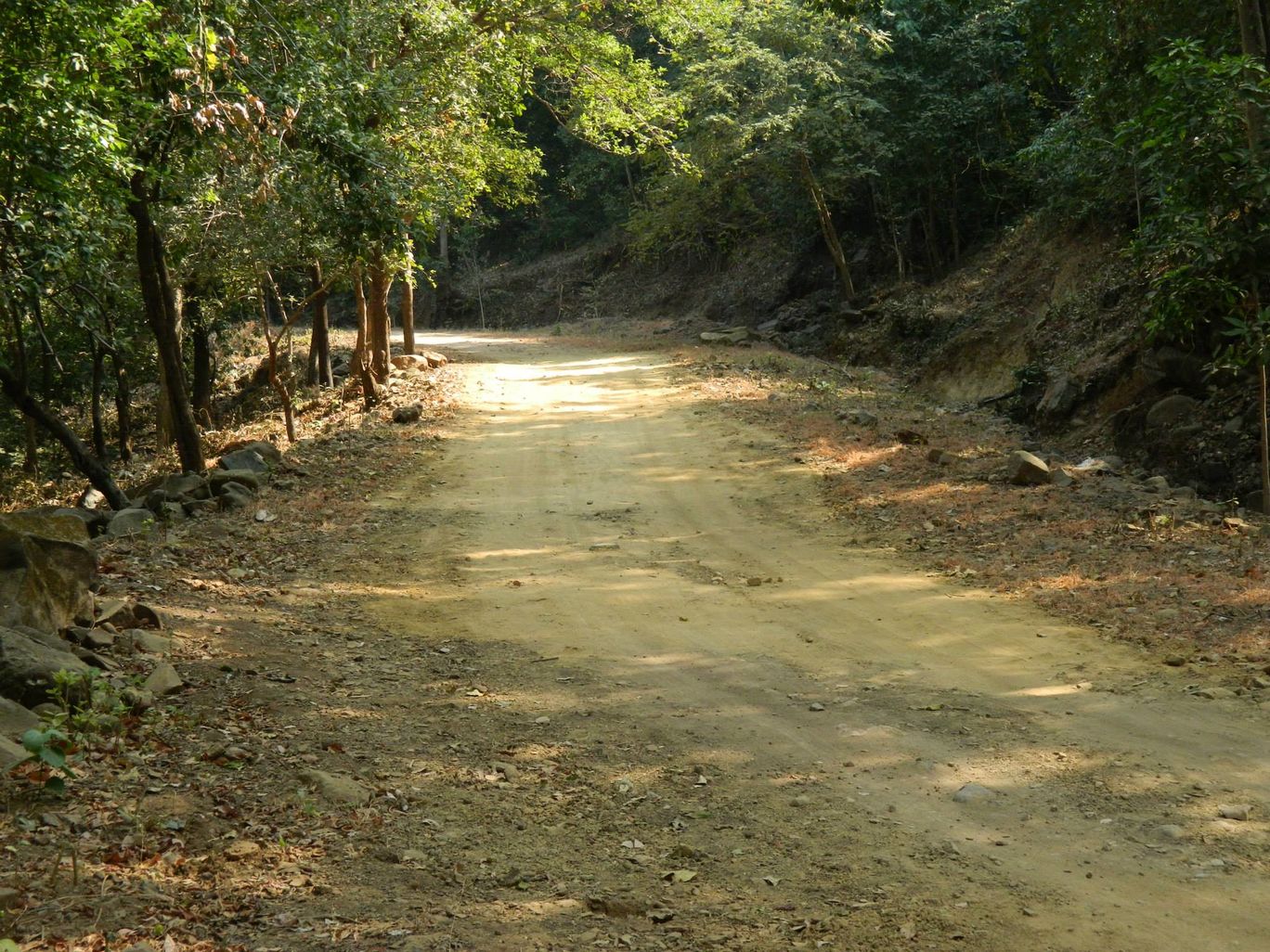 Photo of Solo Trek to Tungareshwar By Koustav Ray