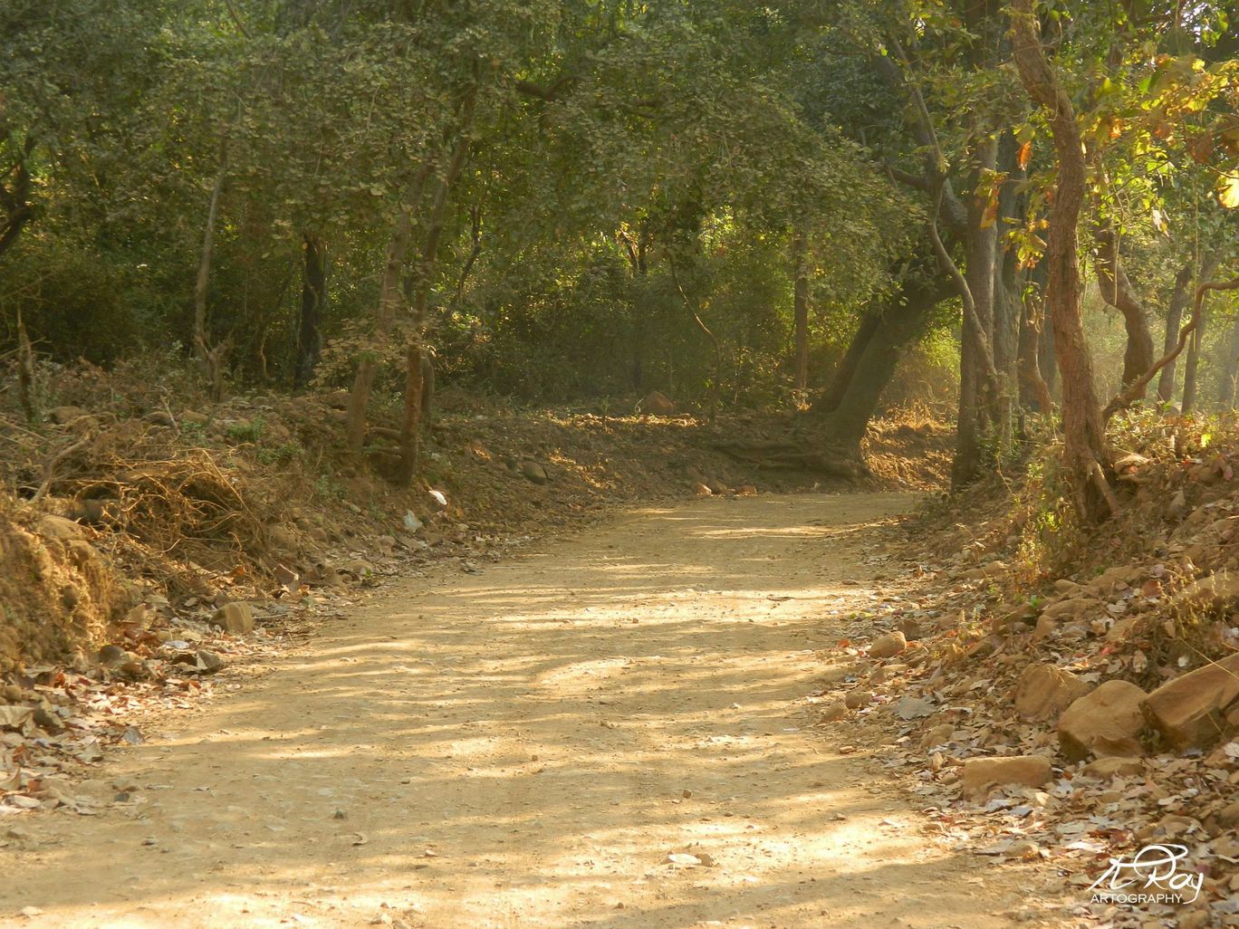 Photo of Solo Trek to Tungareshwar By Koustav Ray