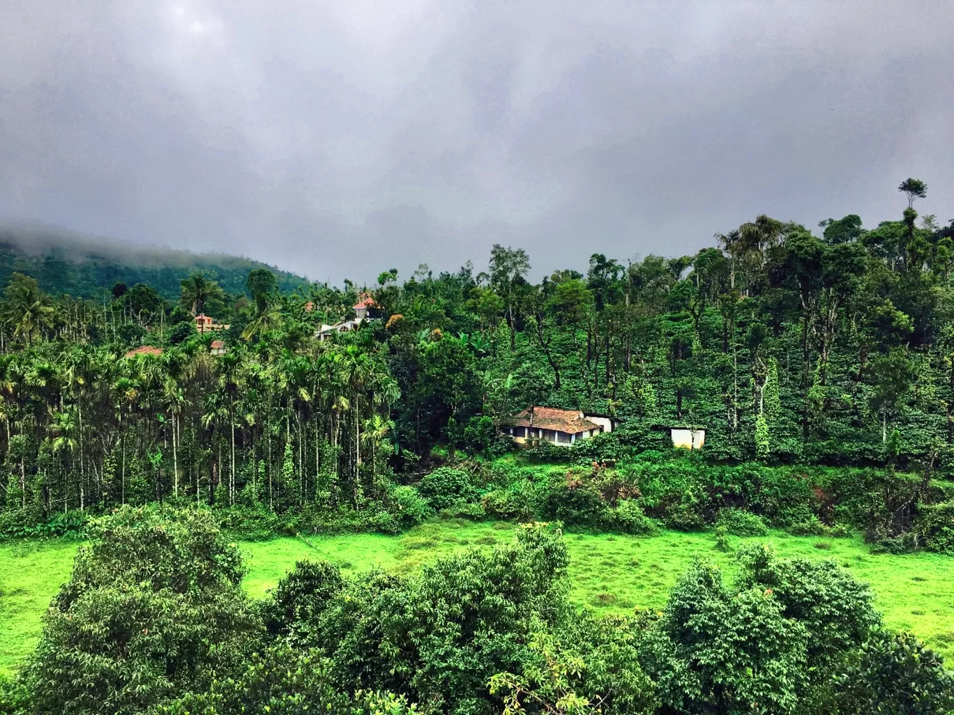 Photo of Coorg By Suraj Bajaj
