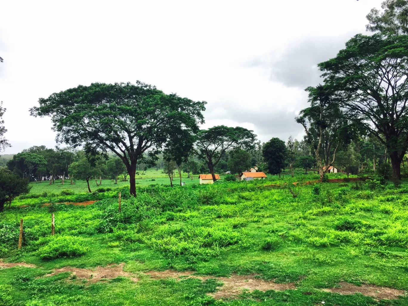 Photo of Coorg By Suraj Bajaj