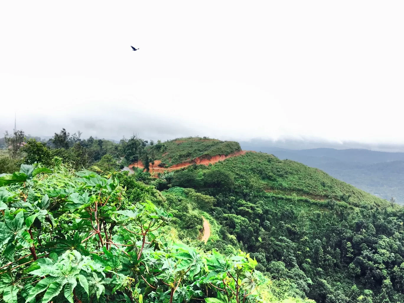 Photo of Coorg By Suraj Bajaj